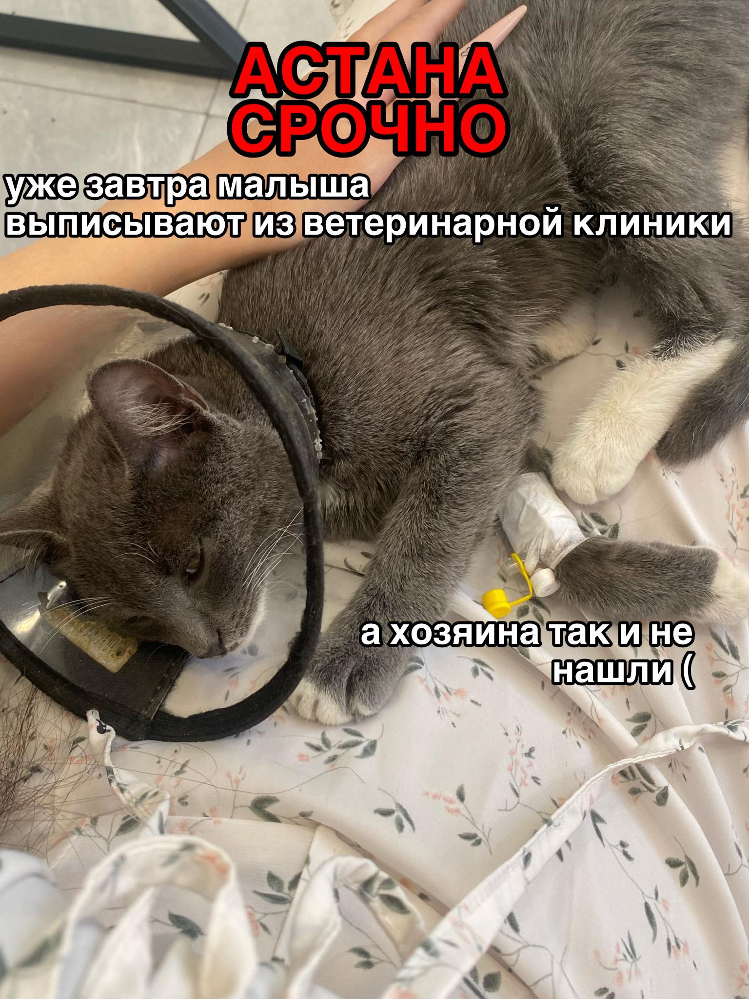 @BERTRAM СЕРЖАНТ