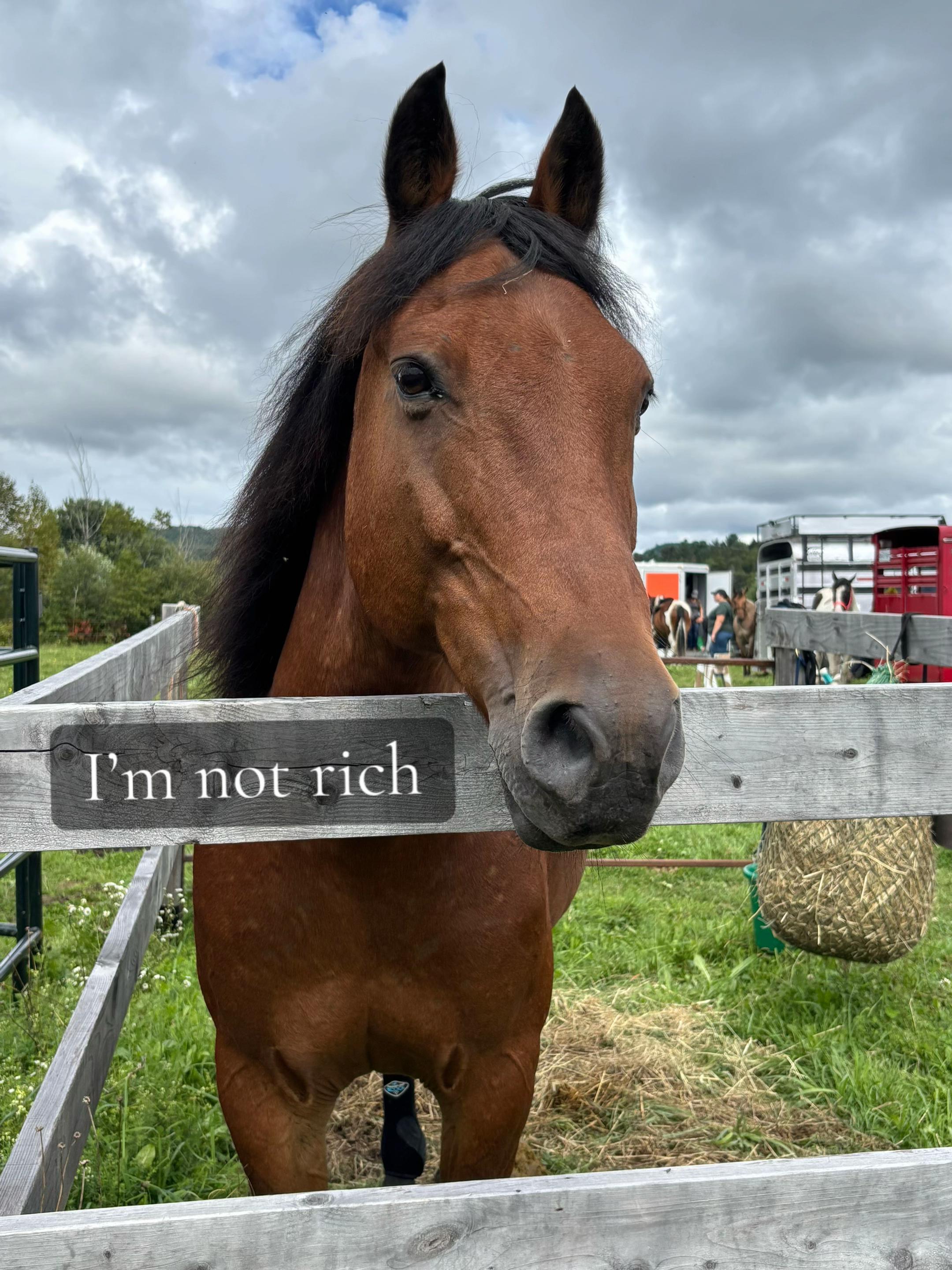 @🐴✨| M&M ranch |🐴✨