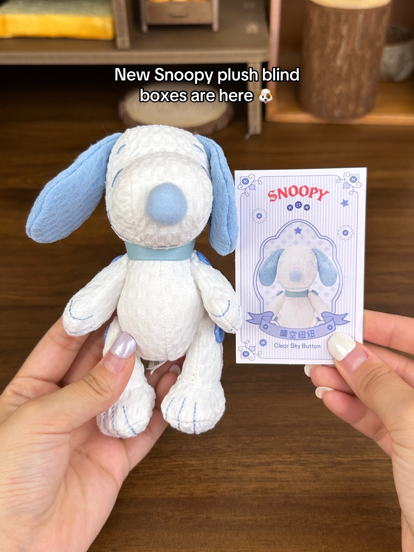 @ThePlushCollector