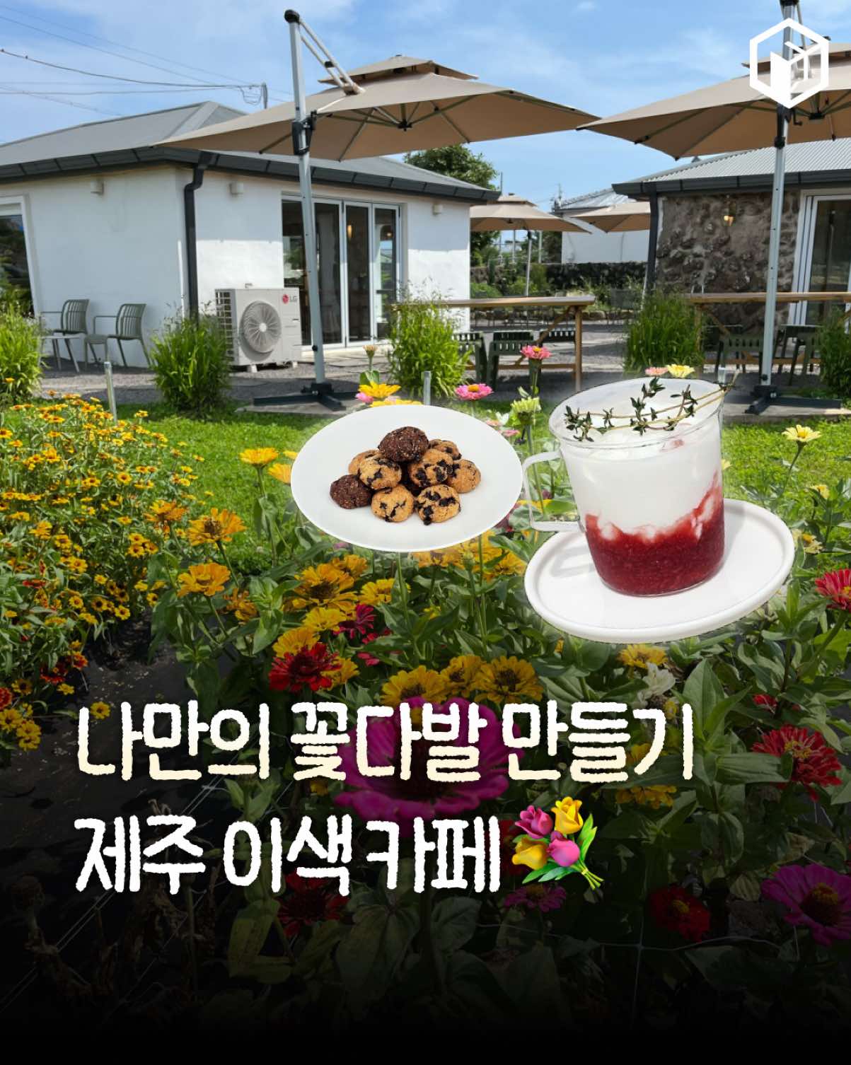 @제주톡톡