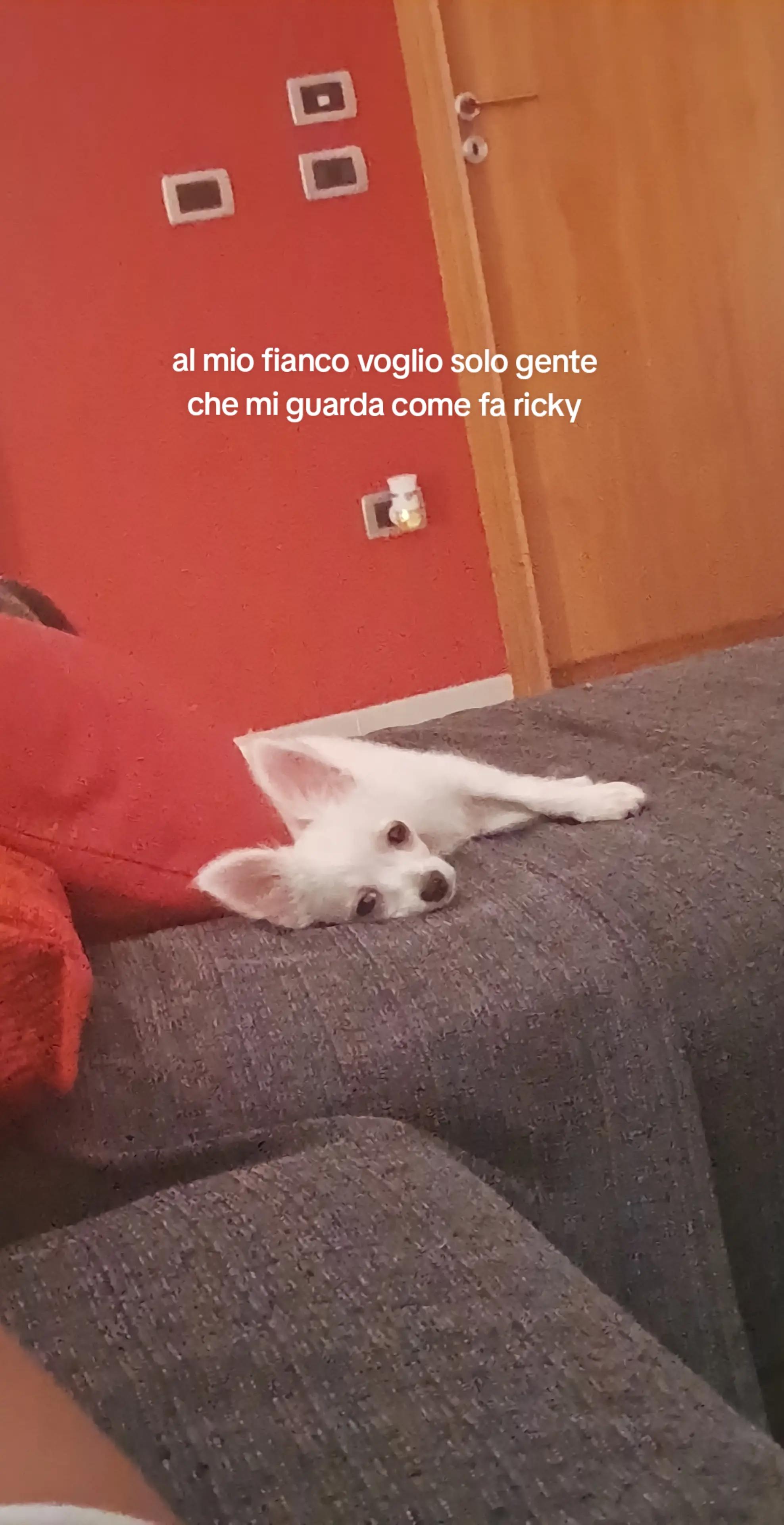@sofiaaa
