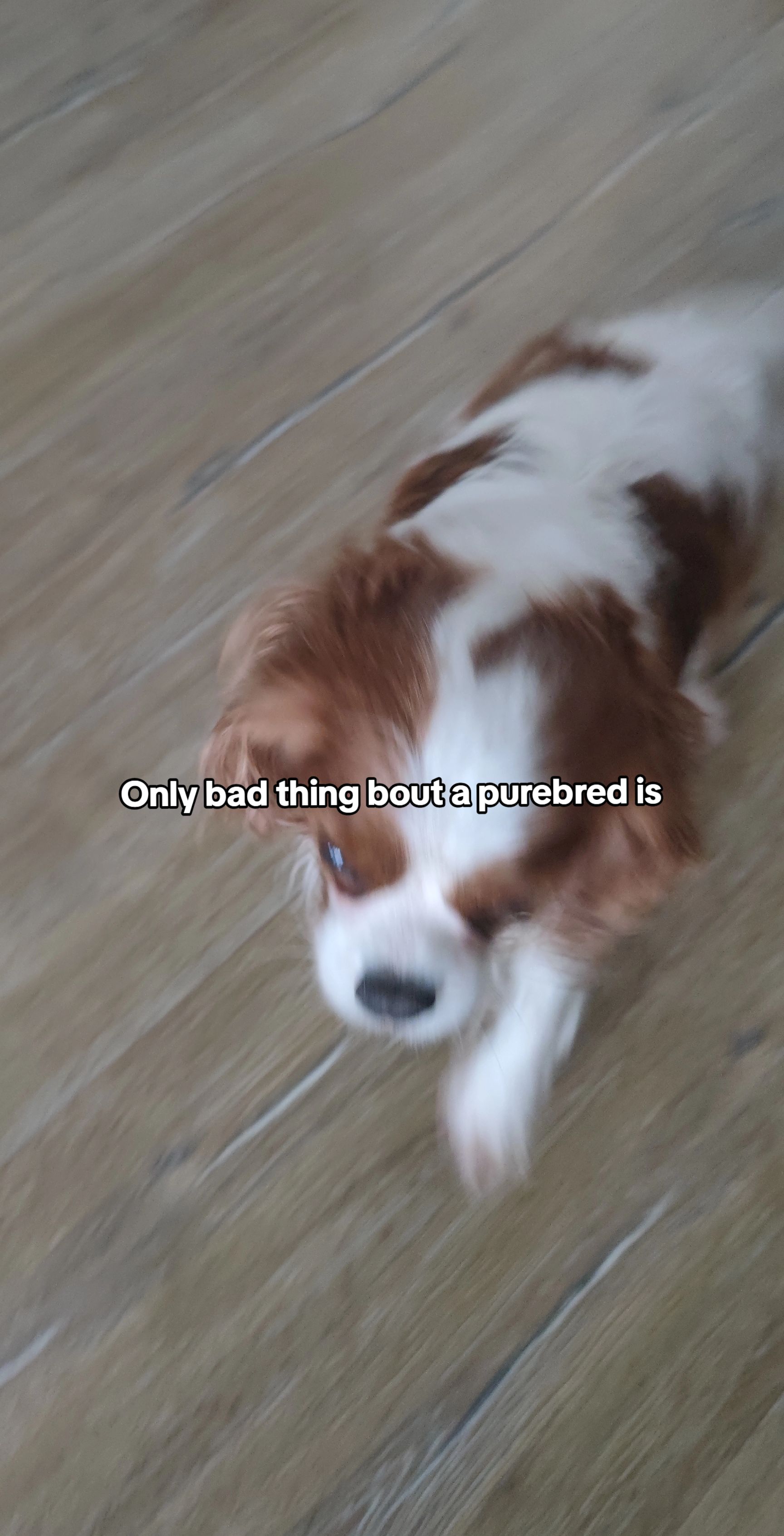 @Rina