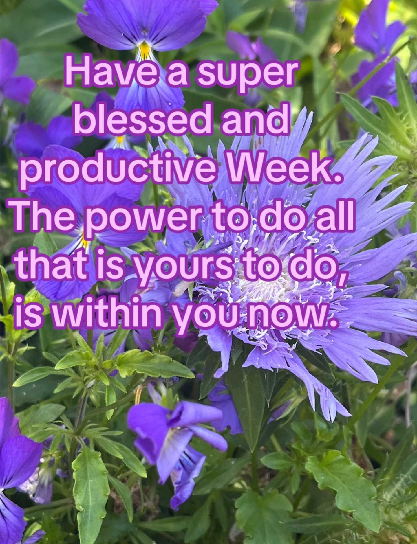 @beverlyupliftingvoice