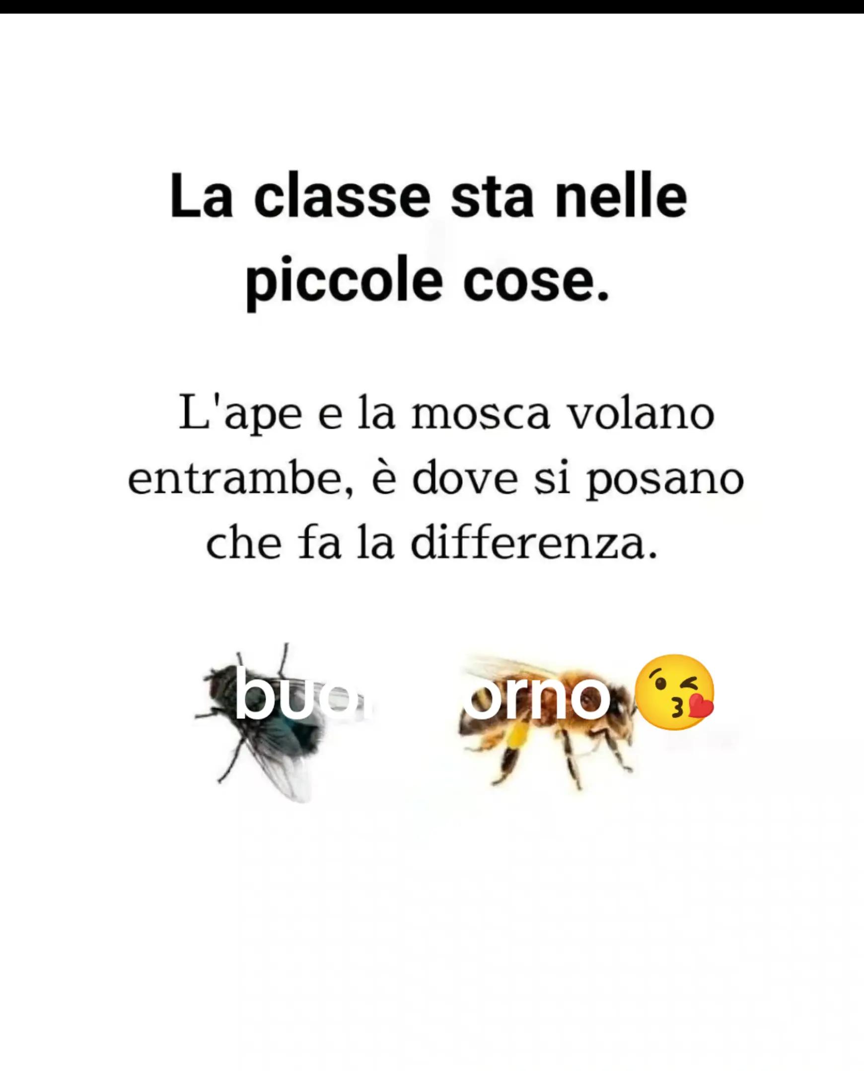 @Katia Guadagno