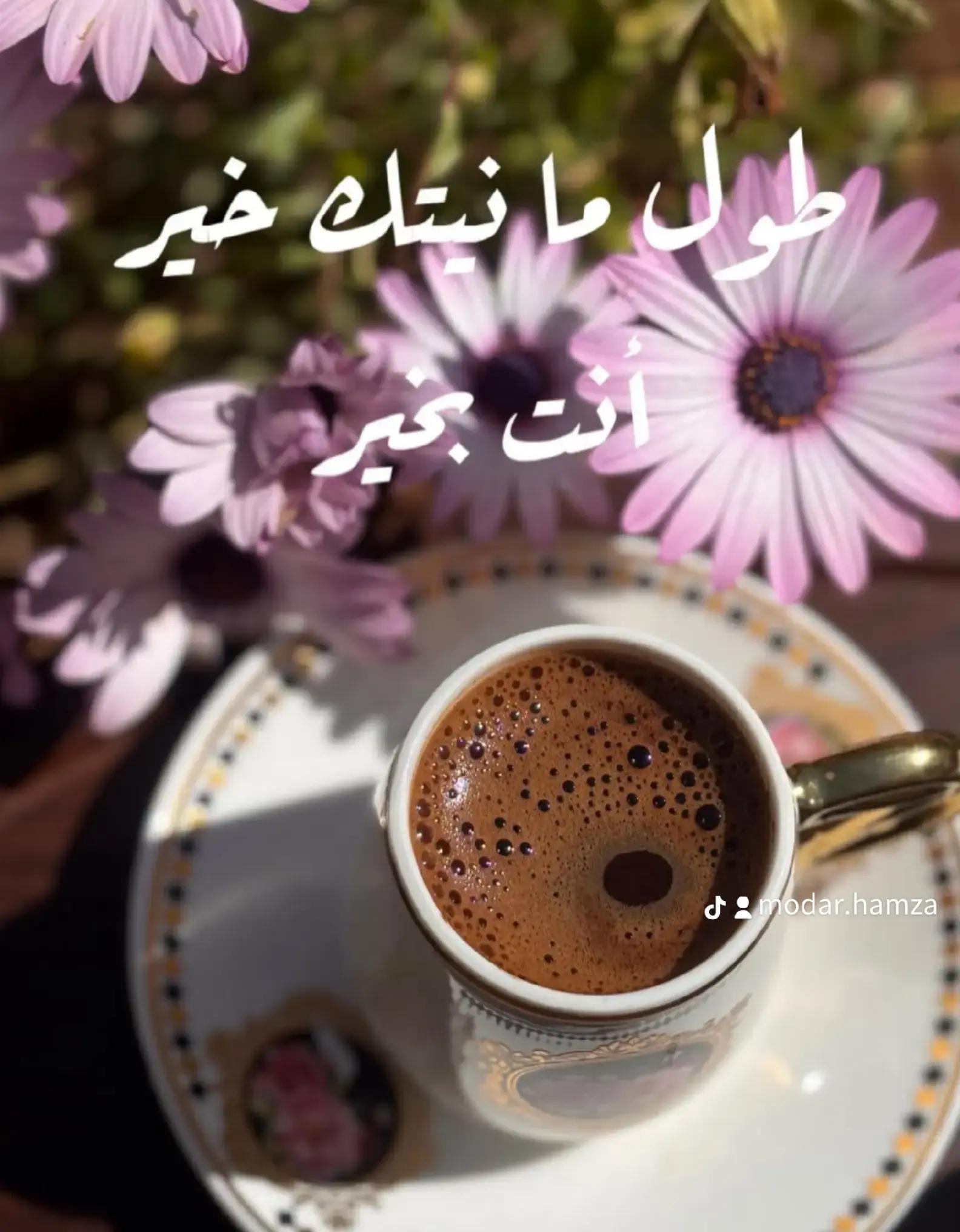 @Modar Hamza
