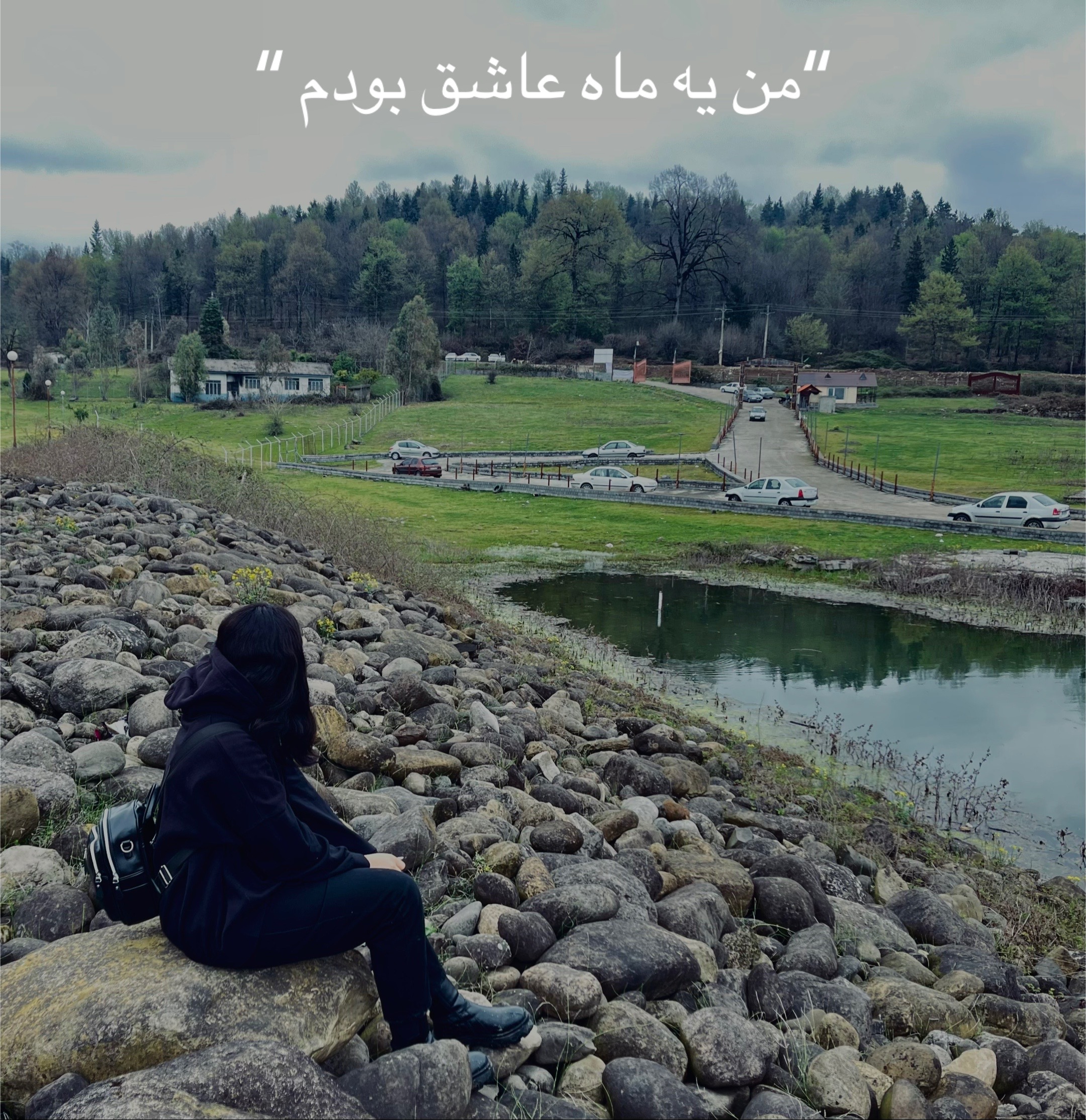 @Setayesh