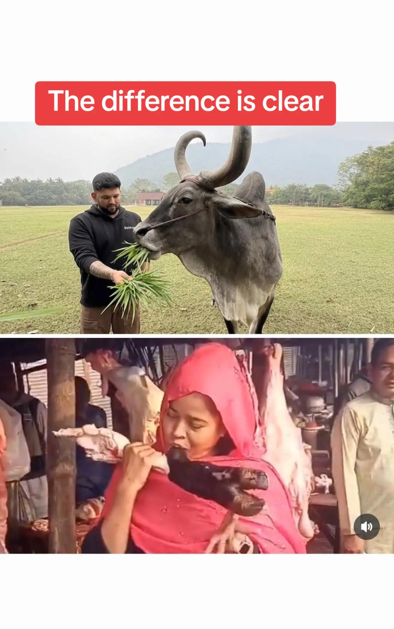 @Sanatana dharma