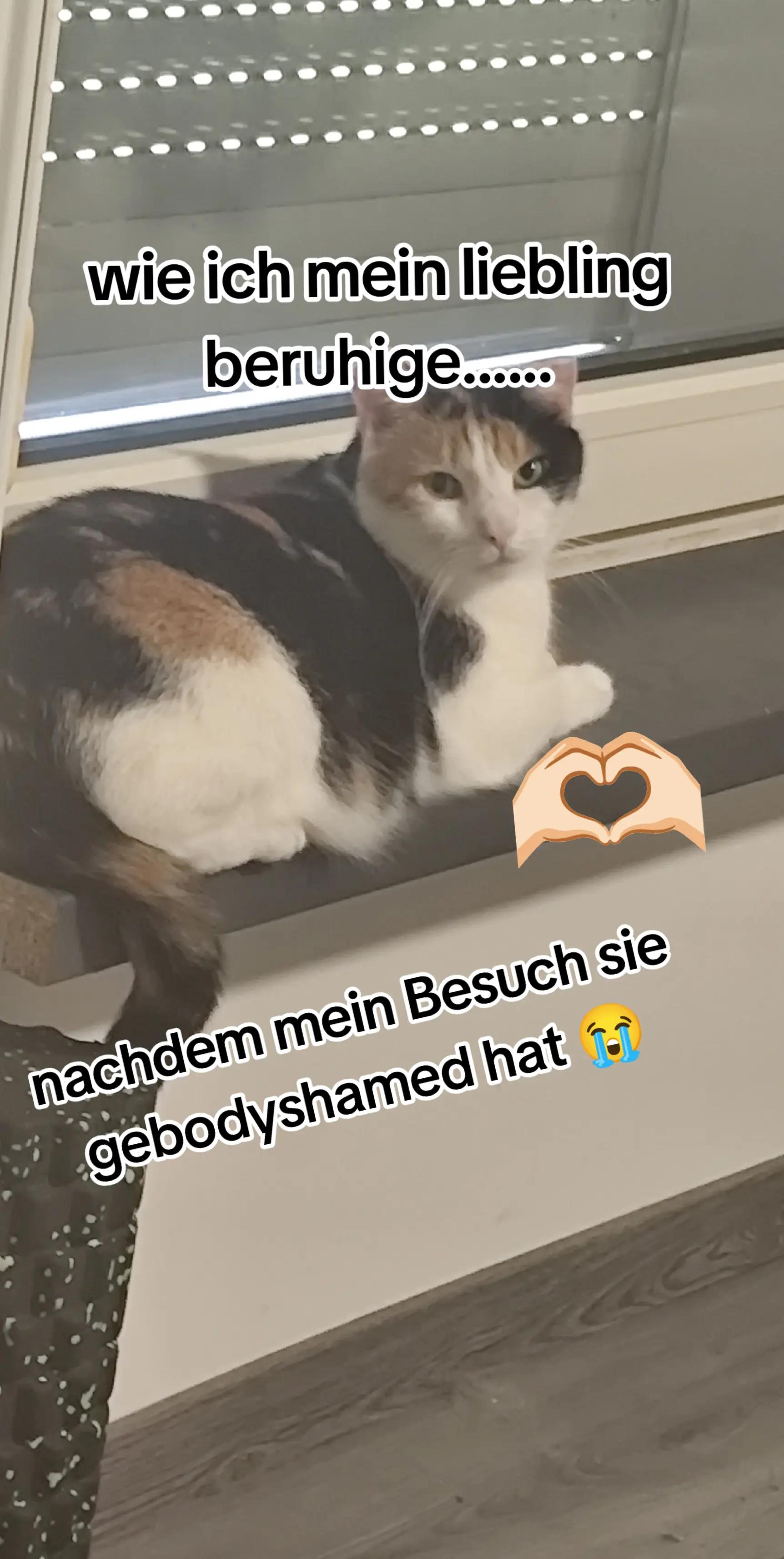 @🧚Steffilein🧚