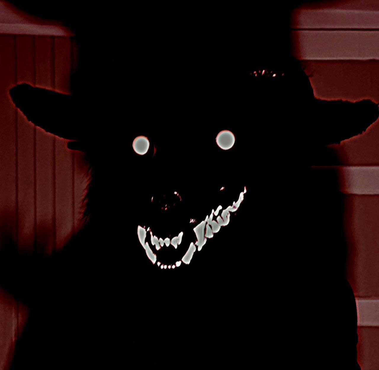 @The Hounds of the Dead