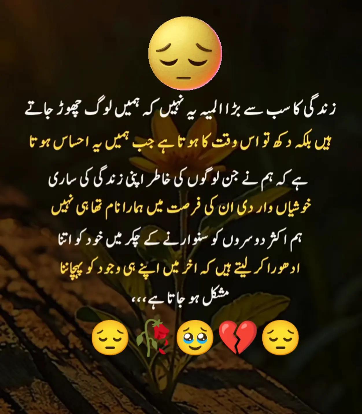 @Hassan Hussain💞