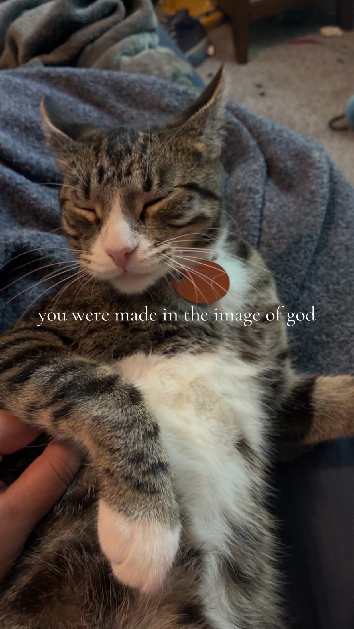 @Ky
