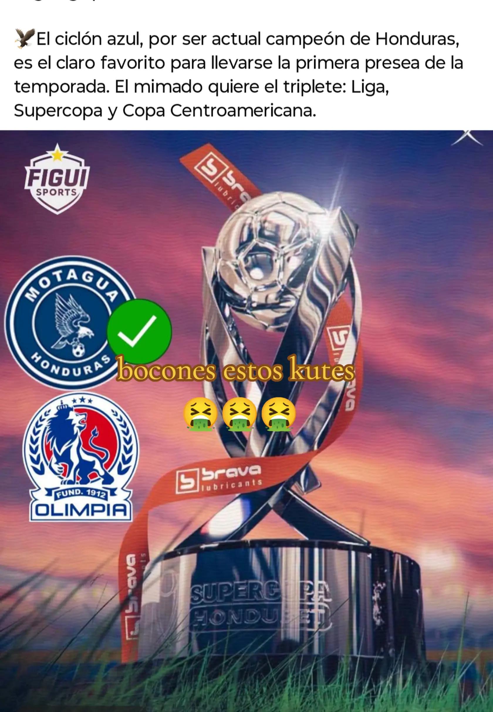 @TEAM OLIMPIA💙🤍❤️🦁👑