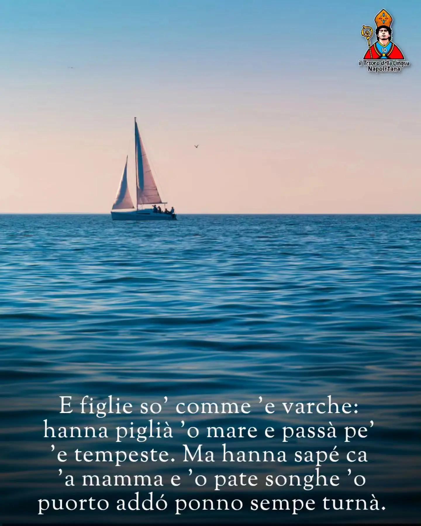 @Tina Bava972