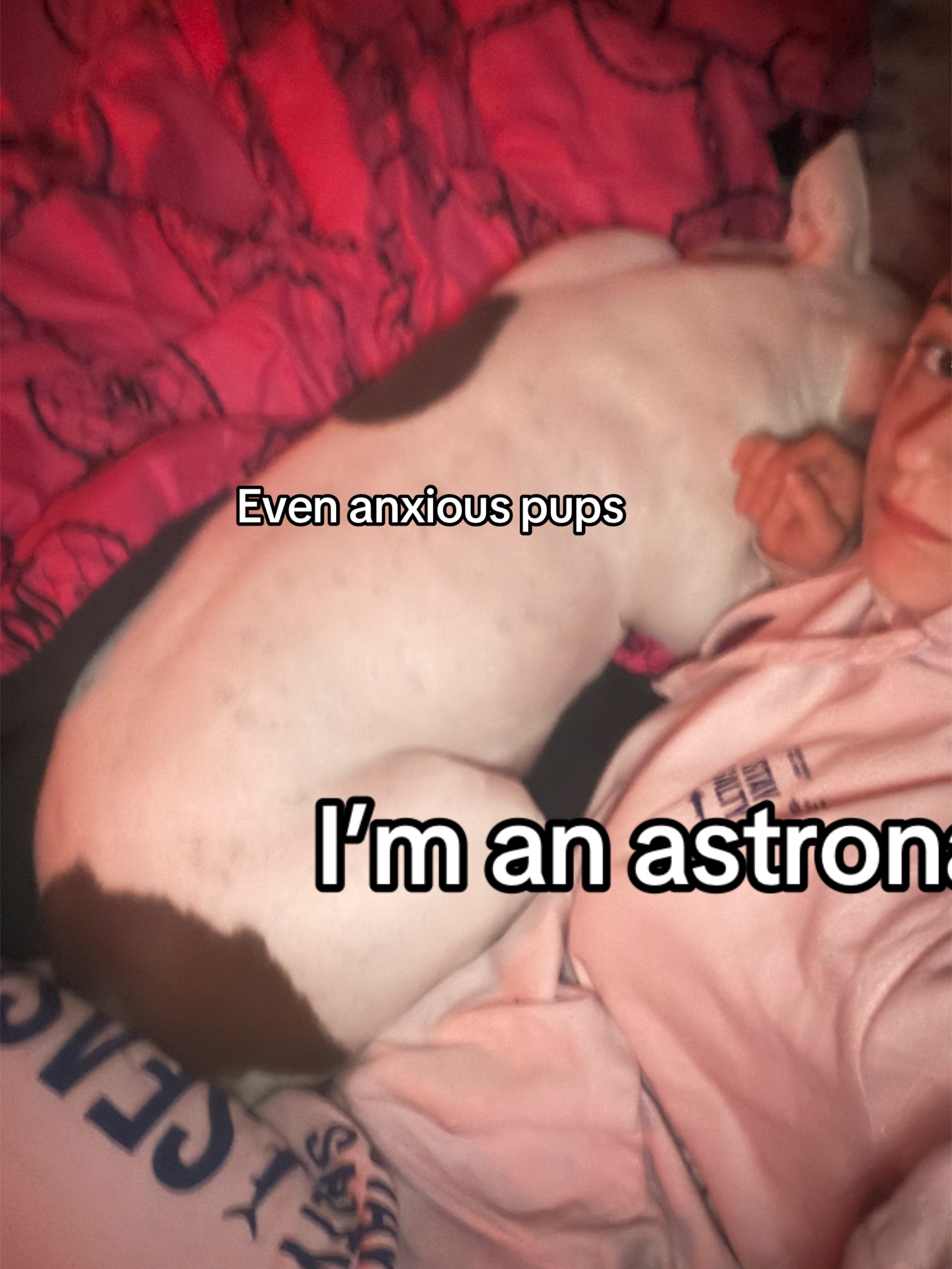 @Hopeufindpeaceforurself☮️