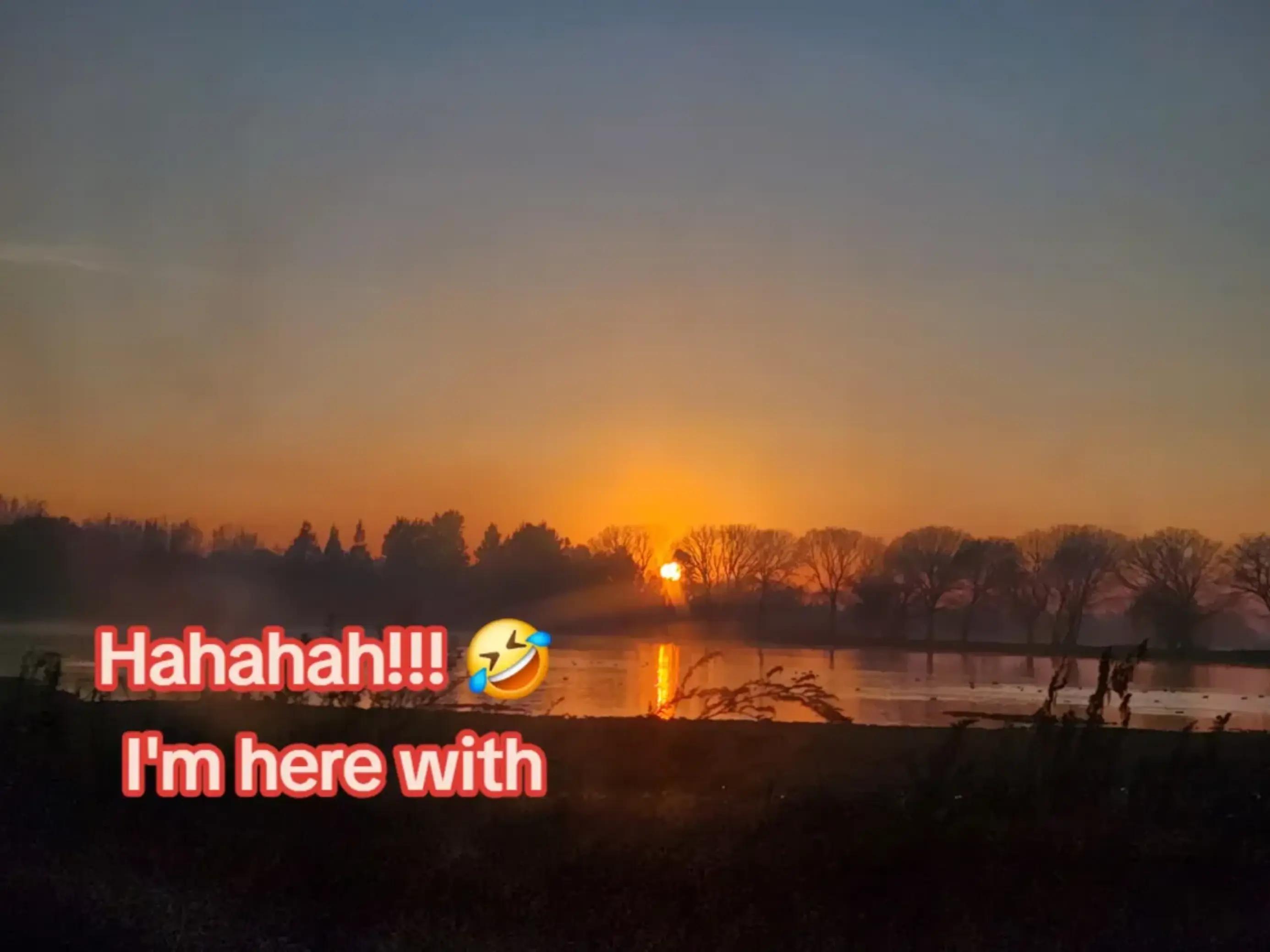 @XO_Janik&eacute;😝🙌🏻