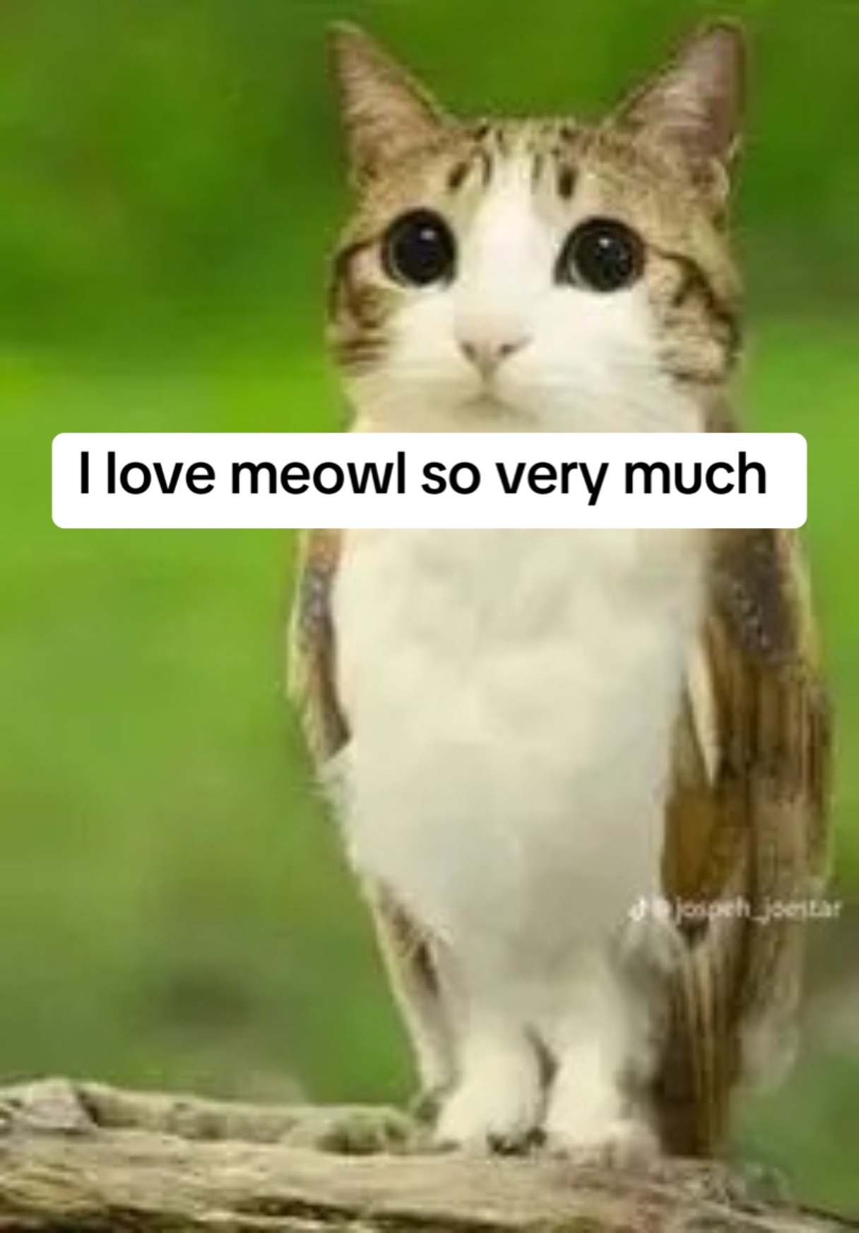 @VeeteeveetherizzerxdD