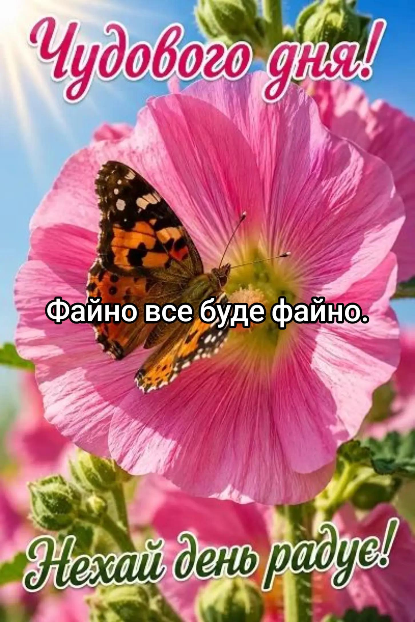 @NATUSIK