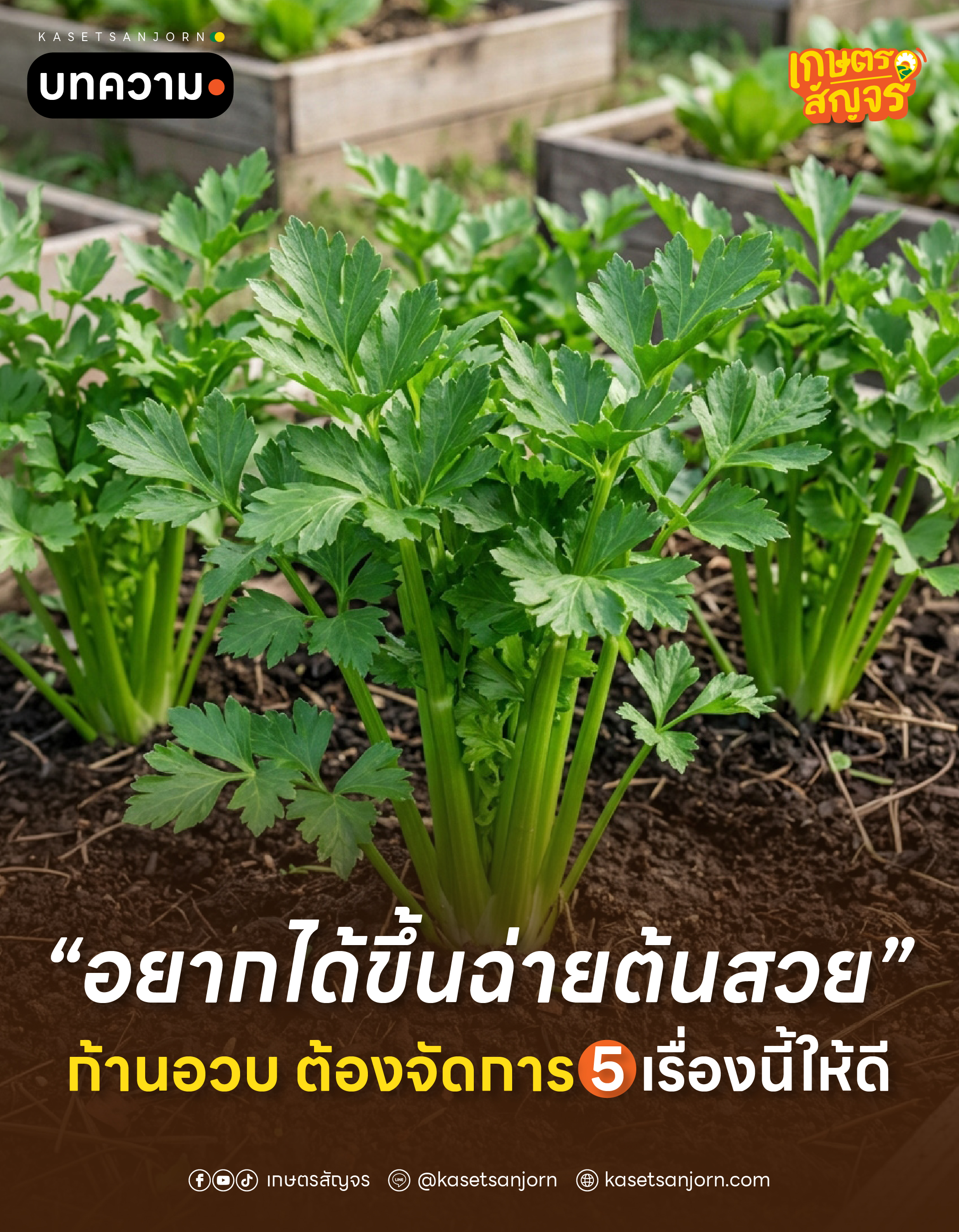 @เกษตรสัญจร