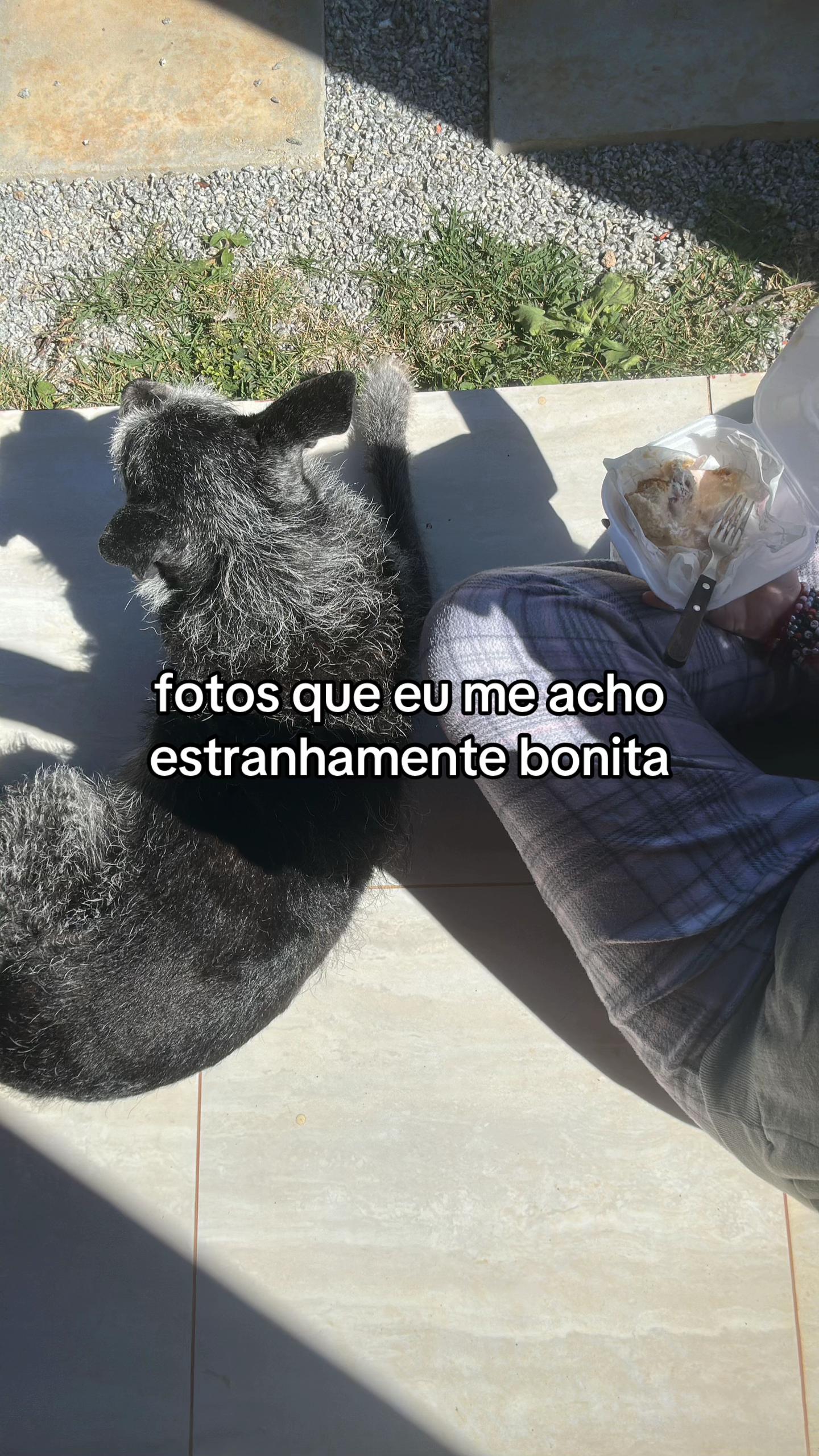 @ayu.dxnickye