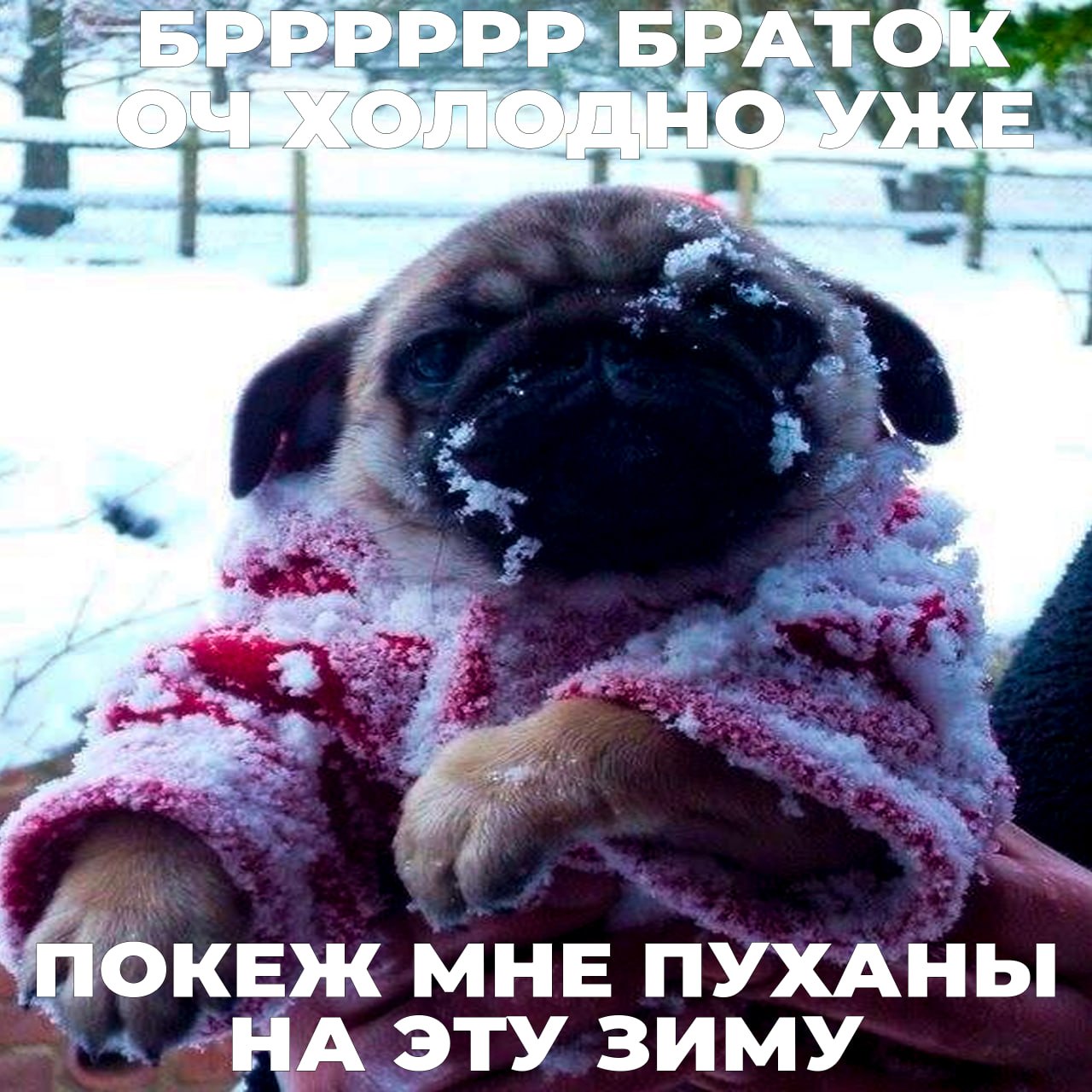 @SKRAY