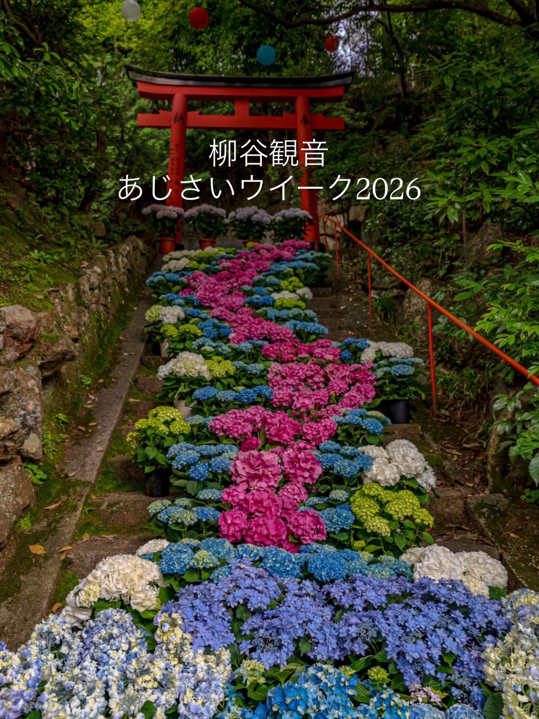 @kyoto_ken