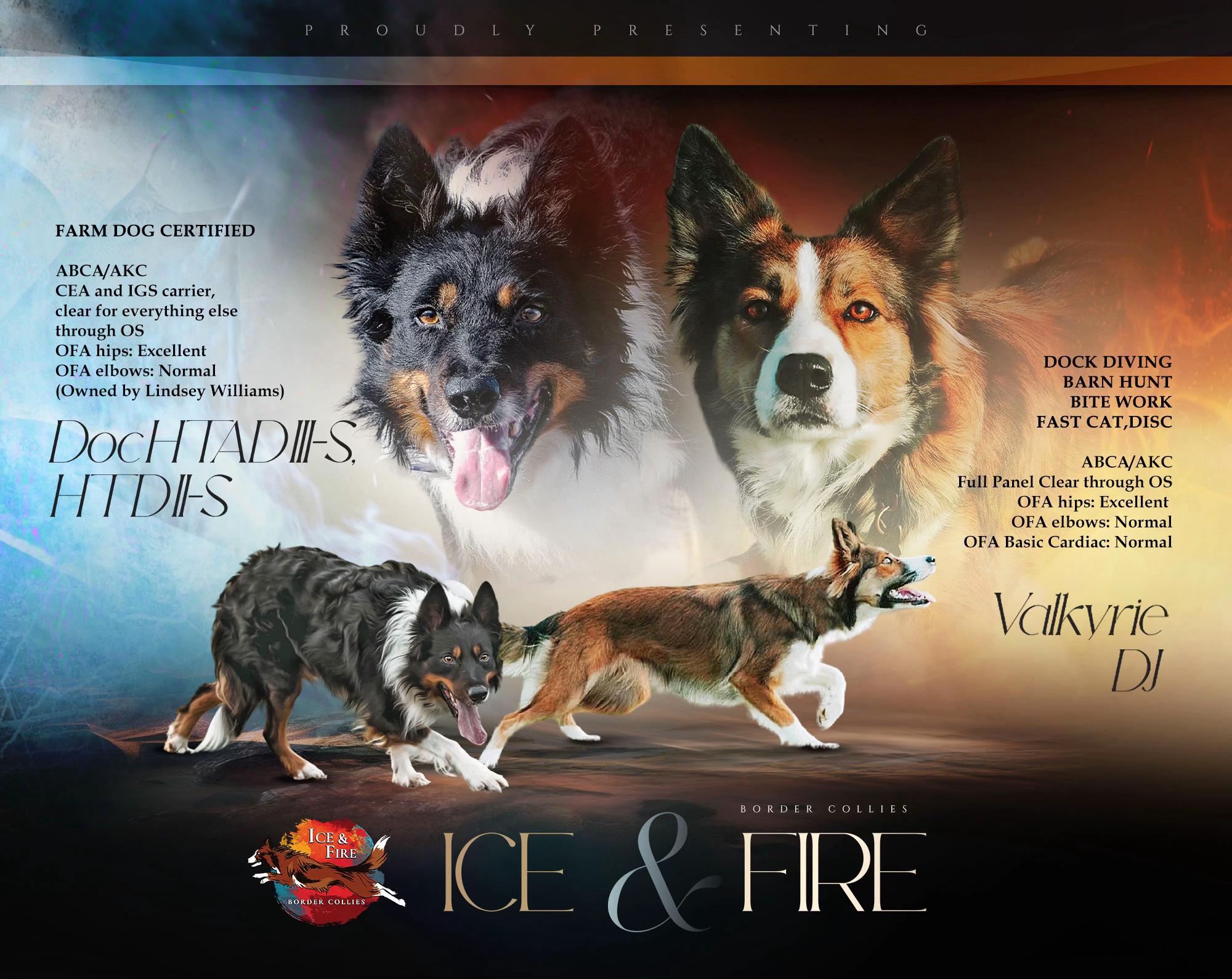 @Ice & Fire