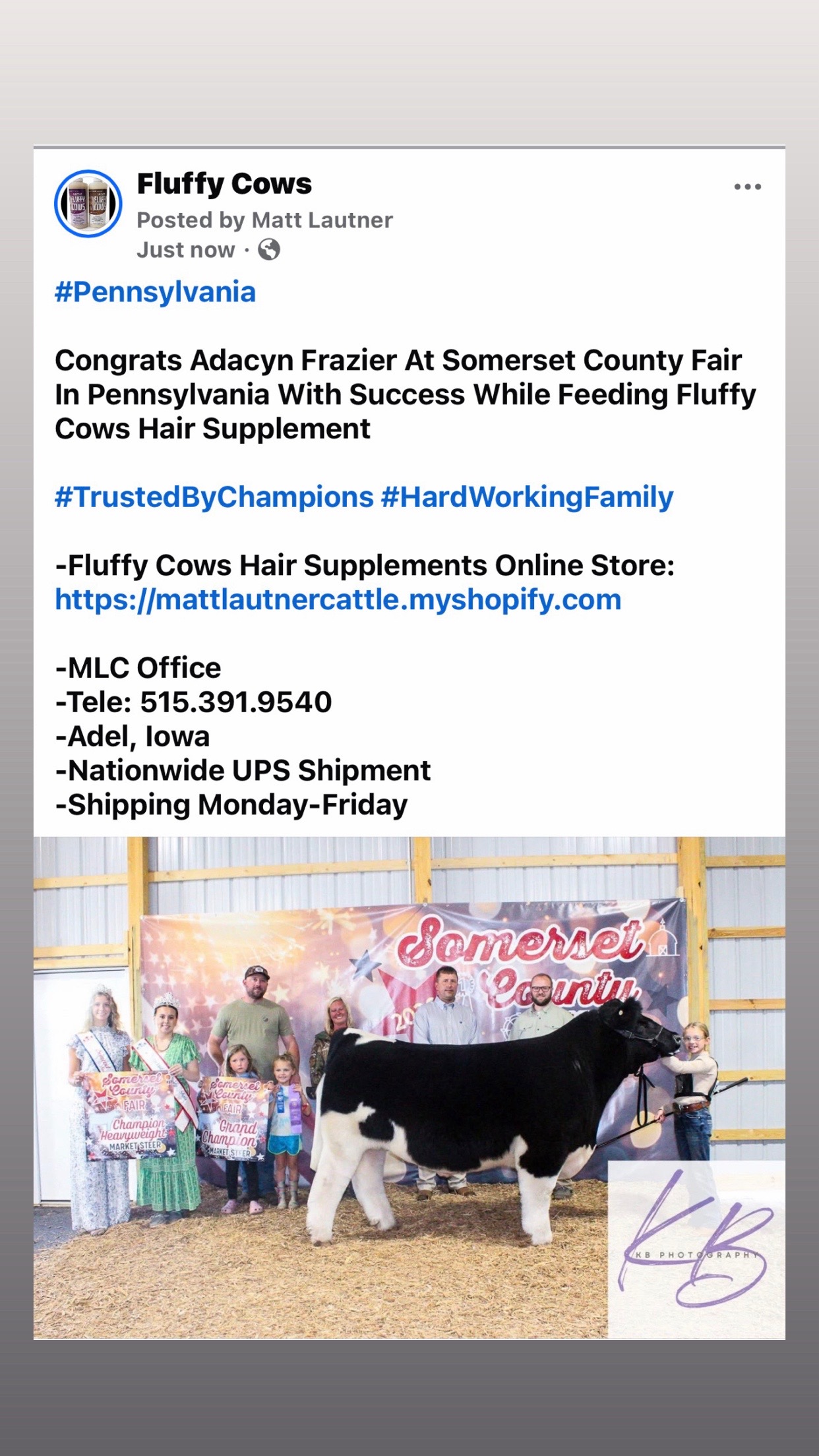 @Matt Lautner Cattle USA