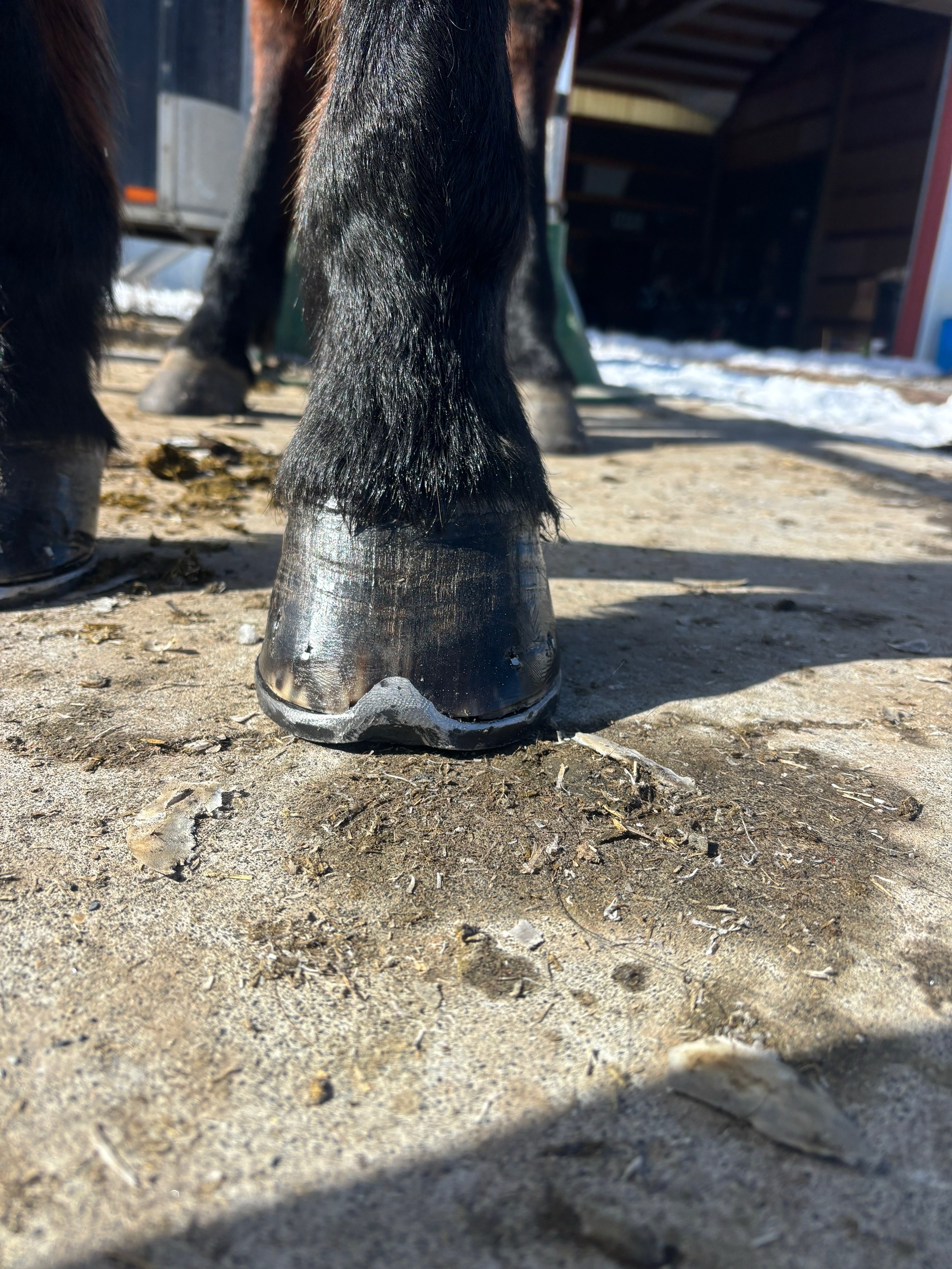 @bar_diamond_farrier