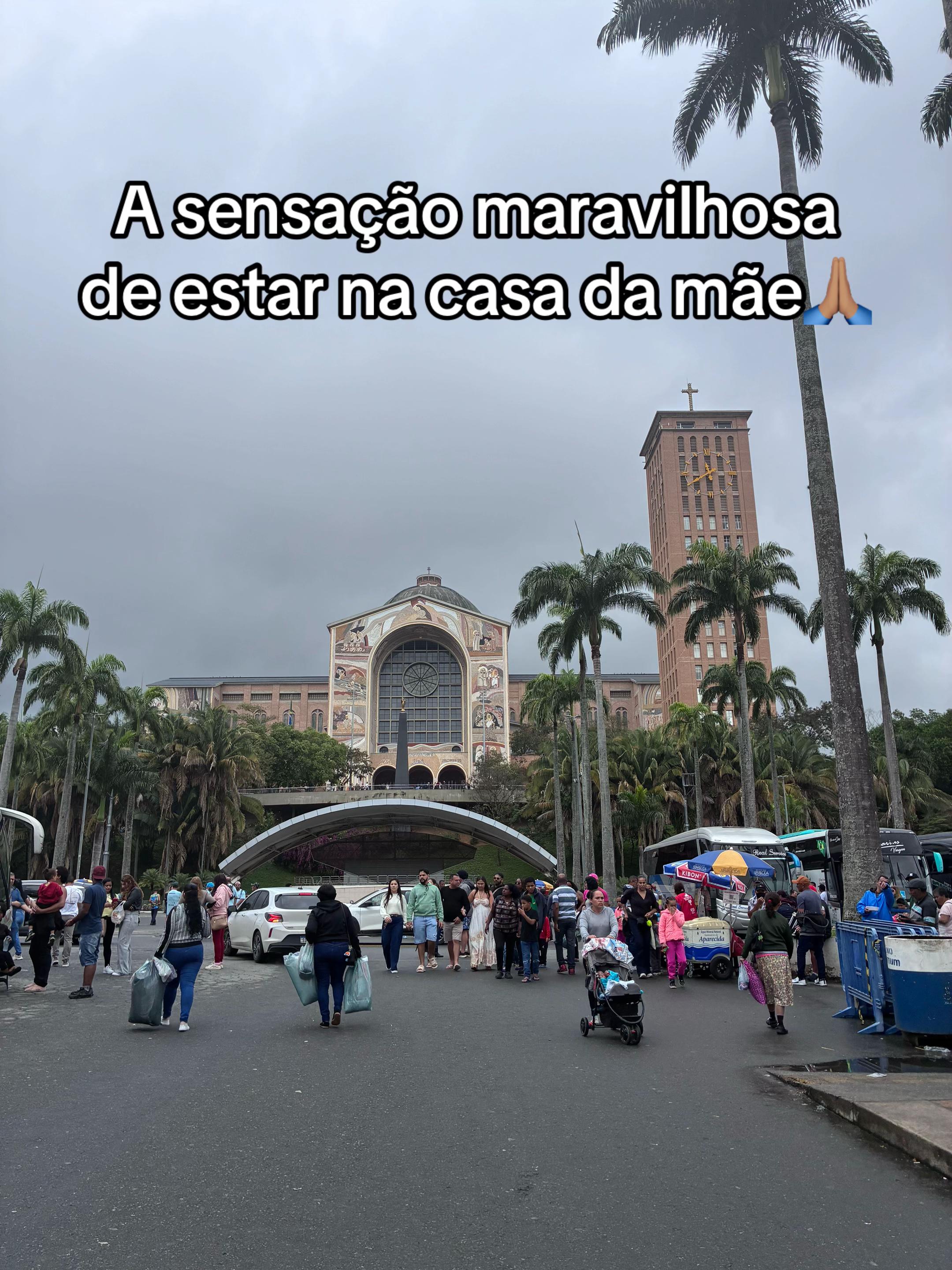 @Alice Valença