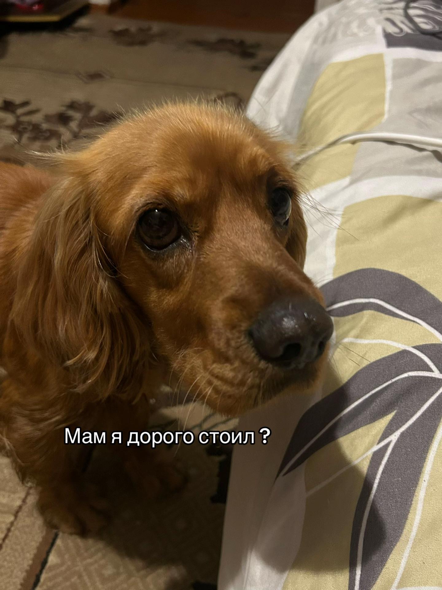 @L