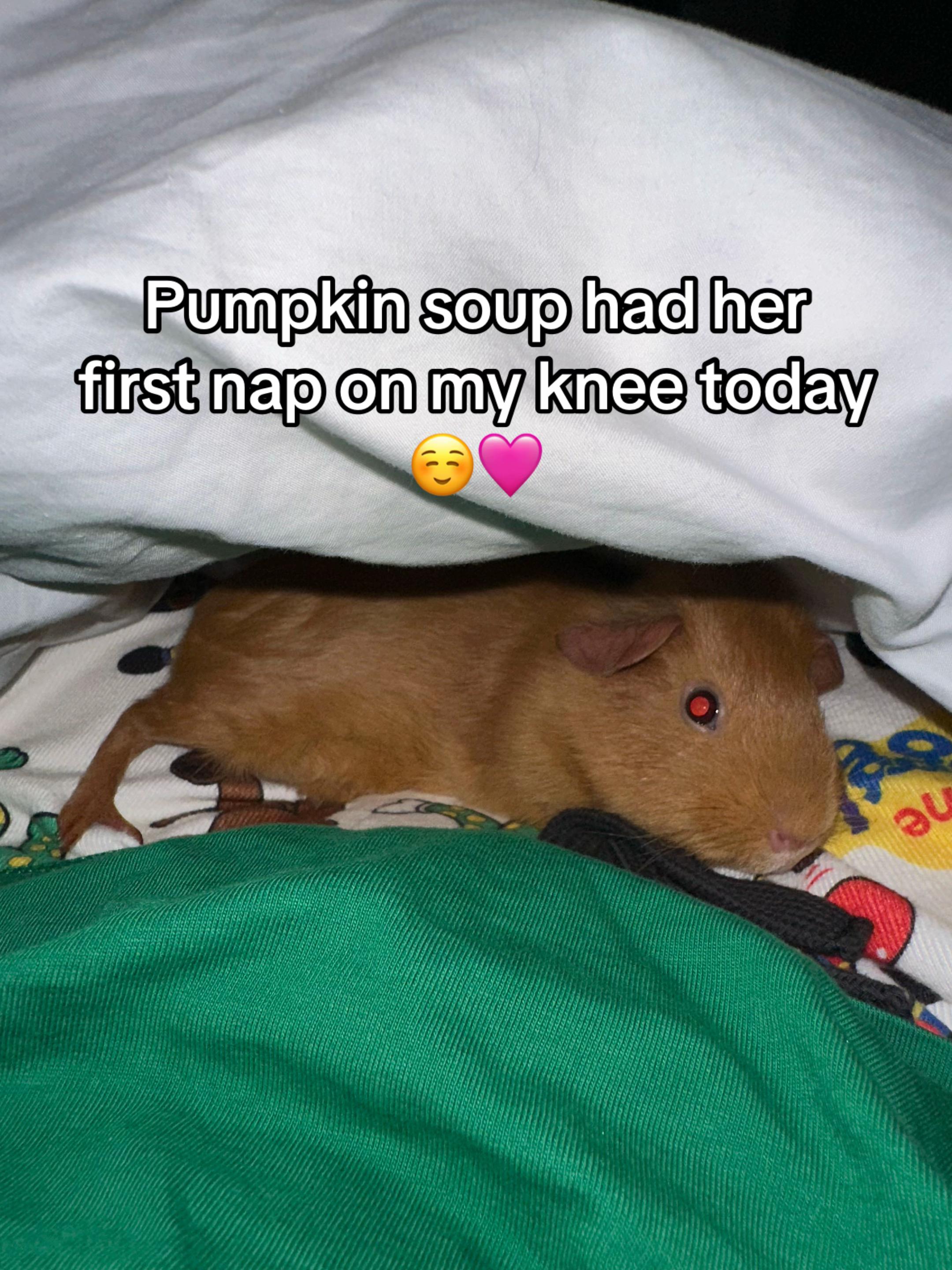 @MimisPiggies25