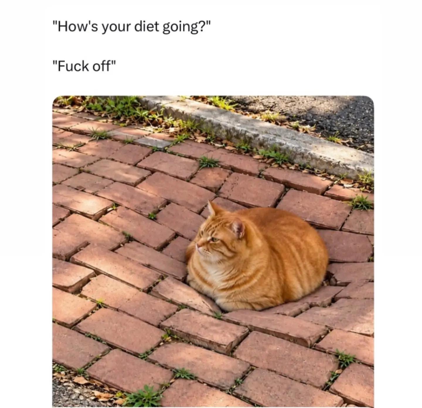 @Dan