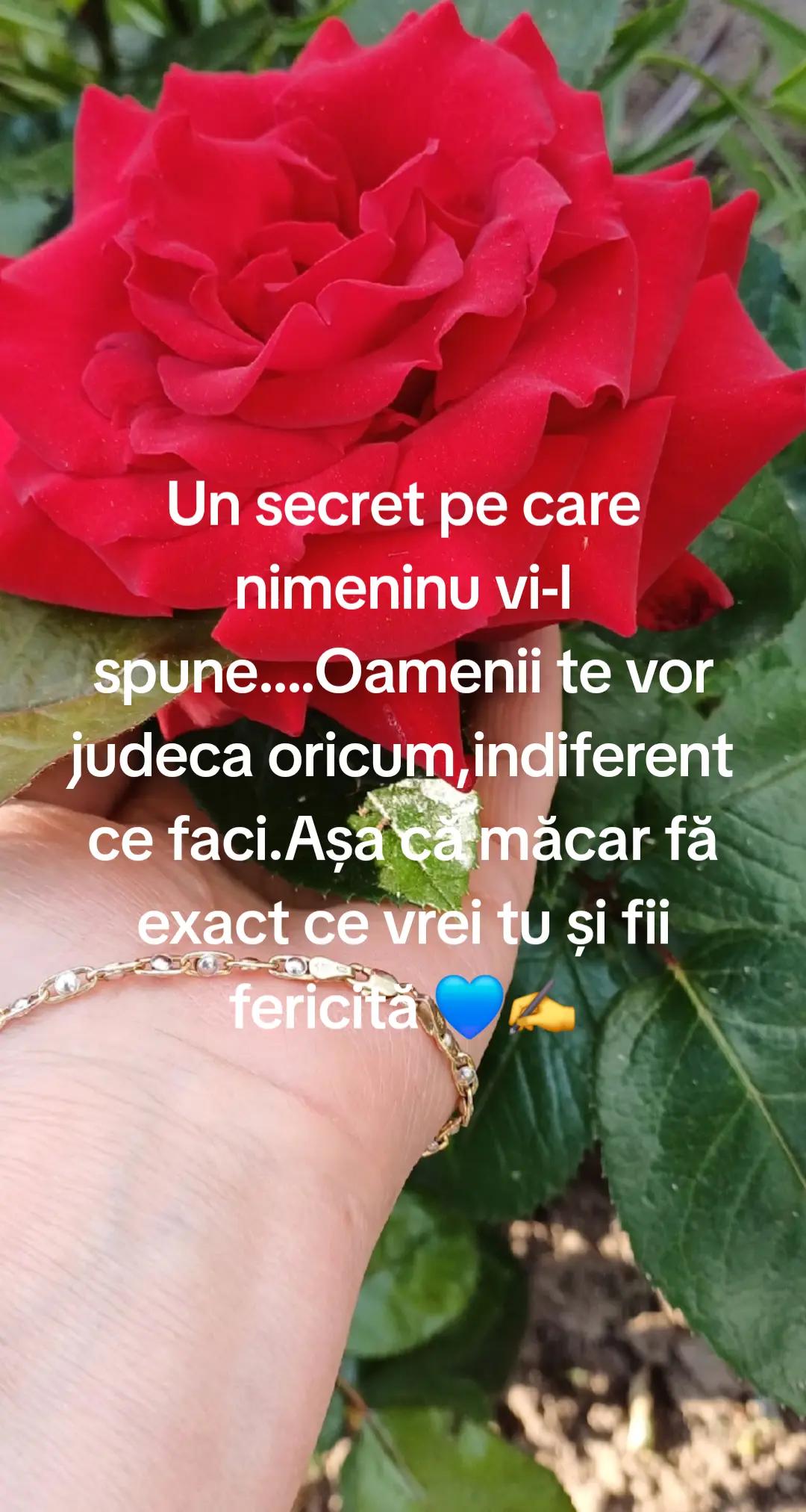 @florentinavararu