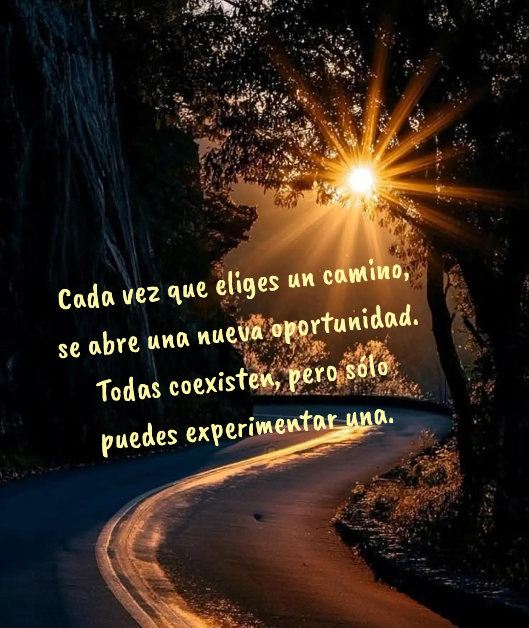 @🌷🩷 Bellatriz 🌷🩷