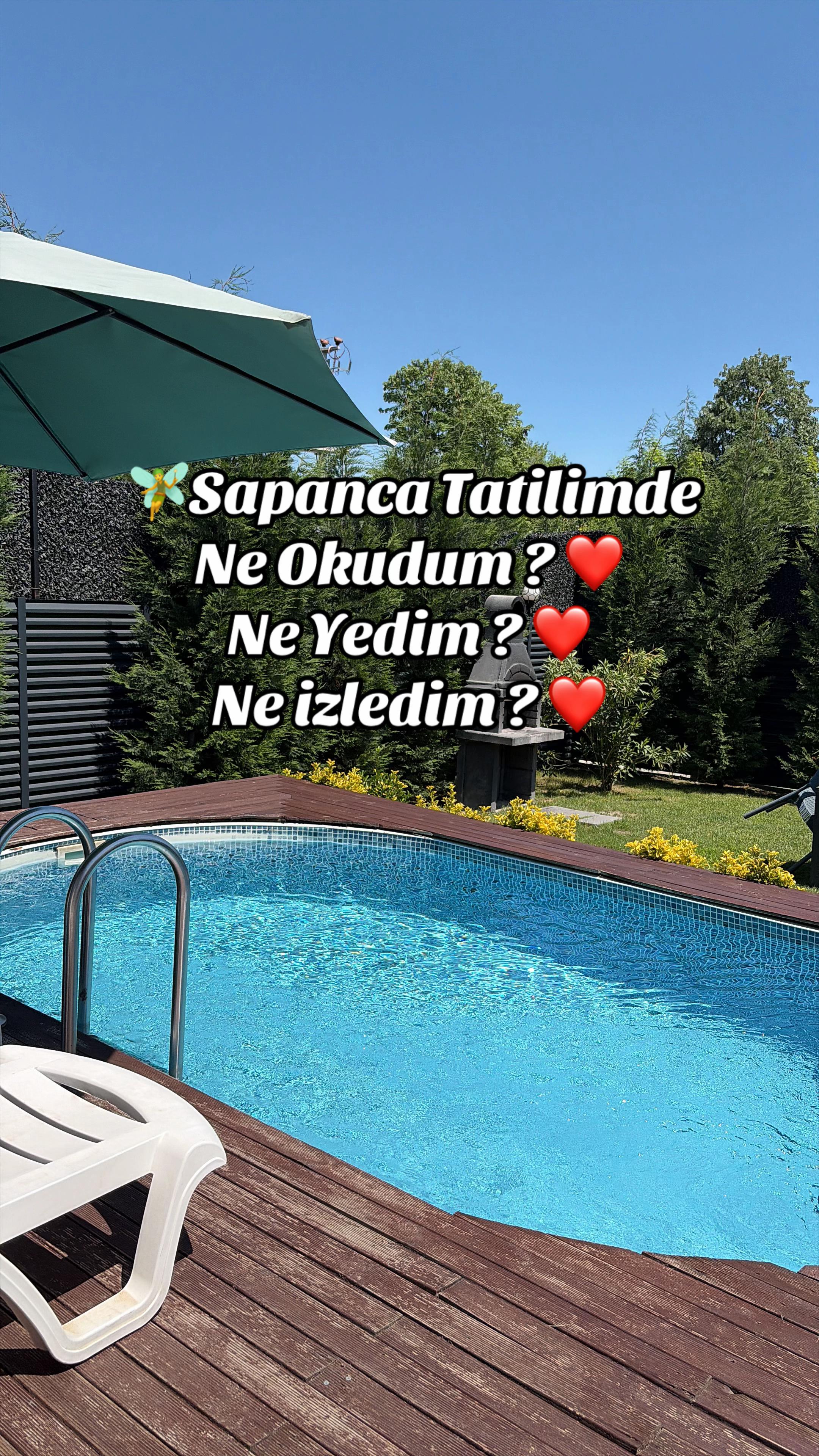 @İstanbul Kedisi