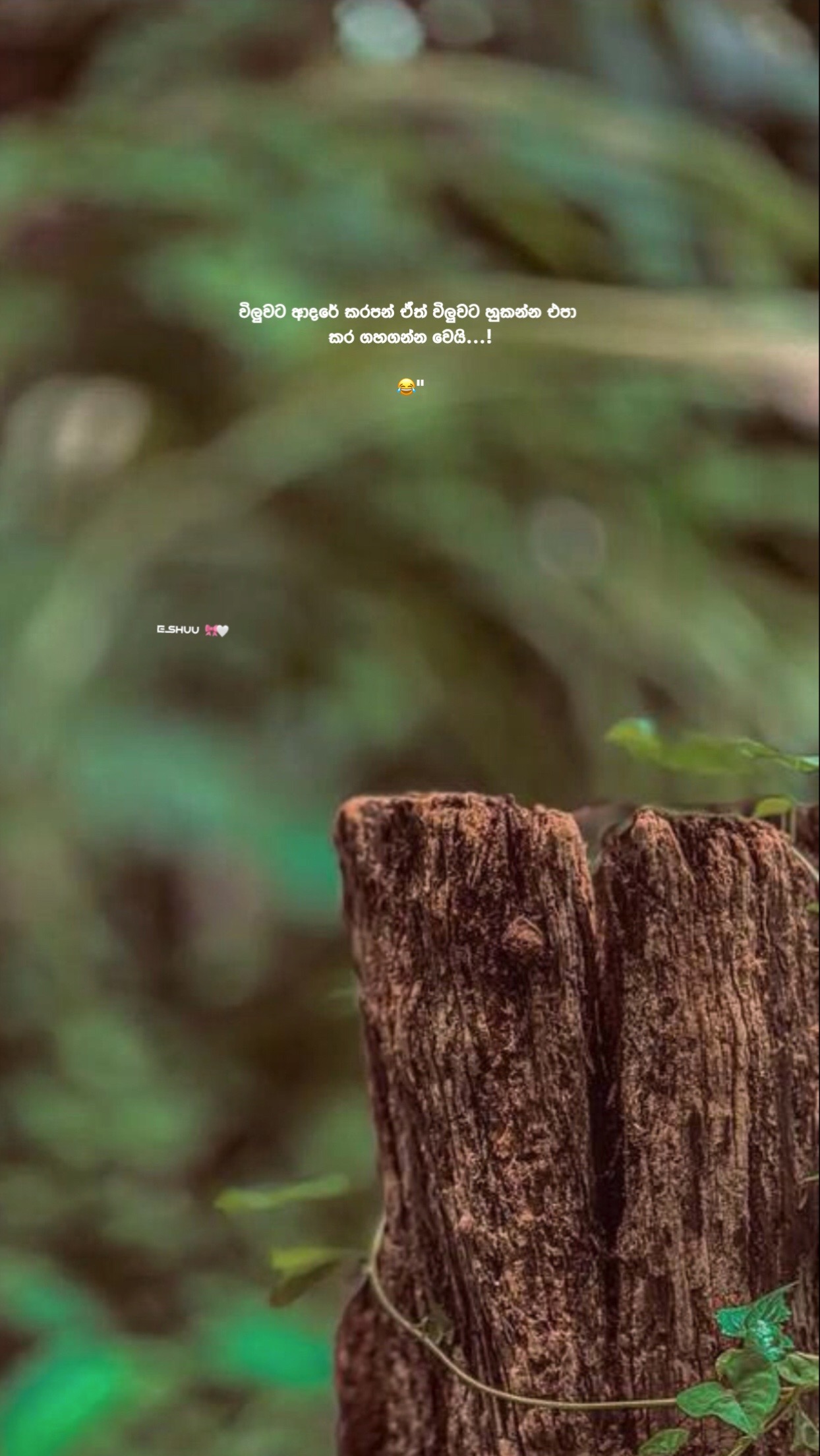 @𝓔𝓼𝓱𝓾𝓾 🎀!"