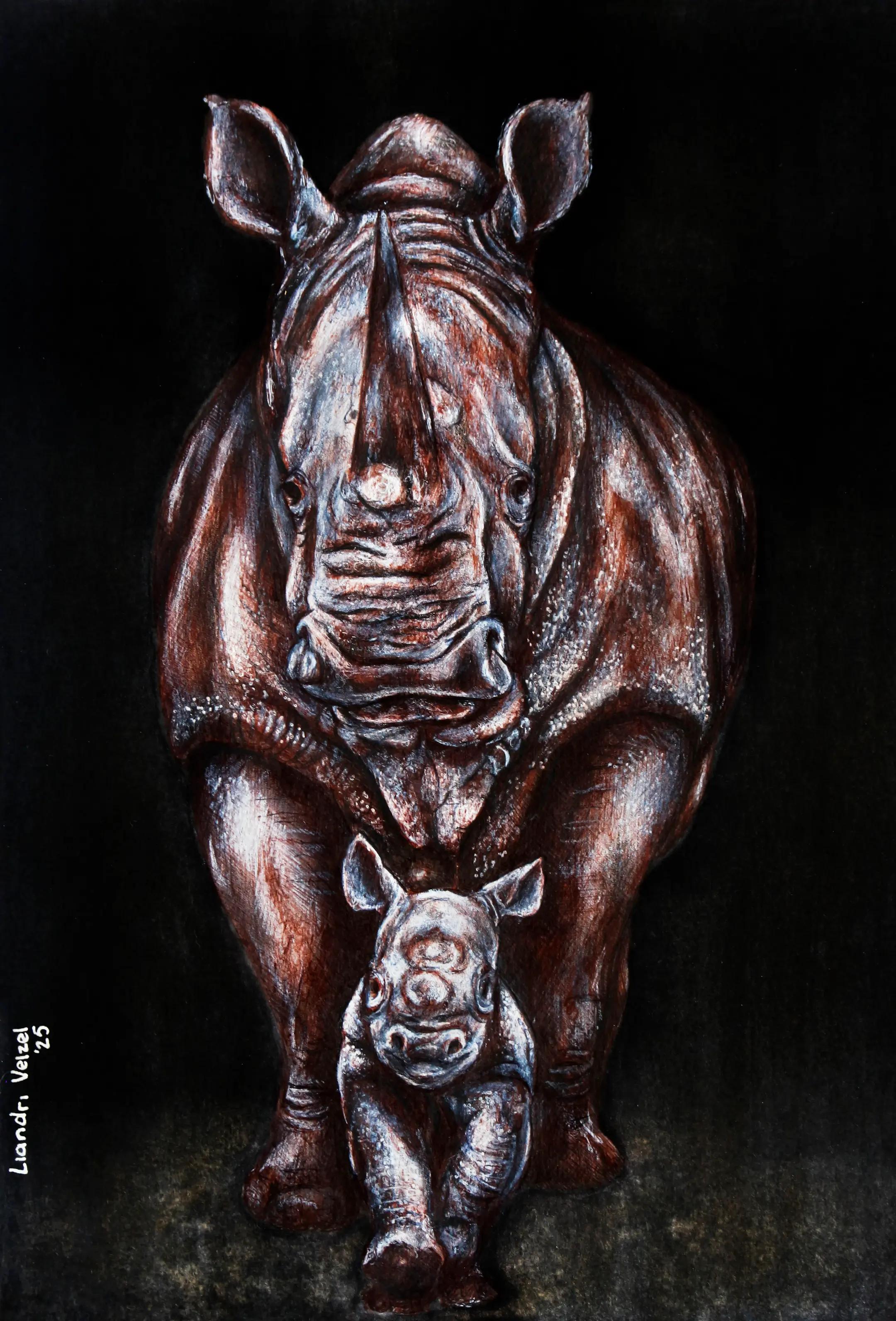 @Liandri Velzel 🎨🇿🇦🇳🇱