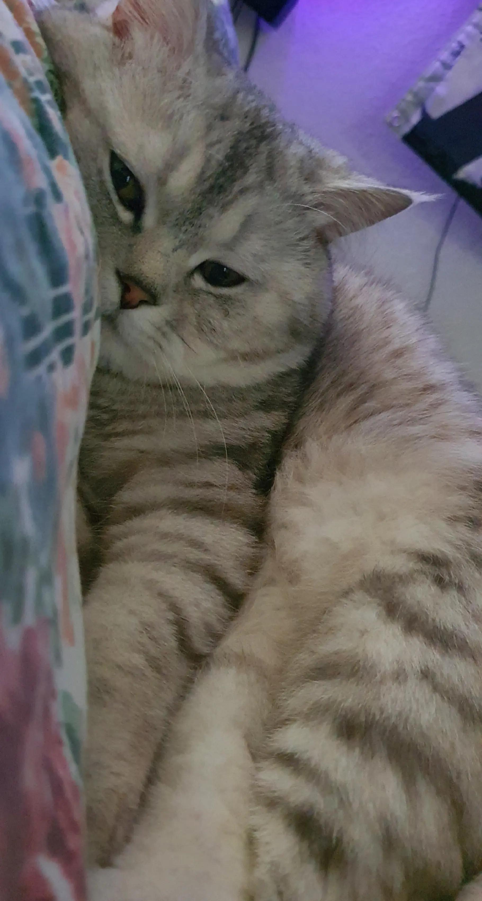 @๐ต๐๐๐๐