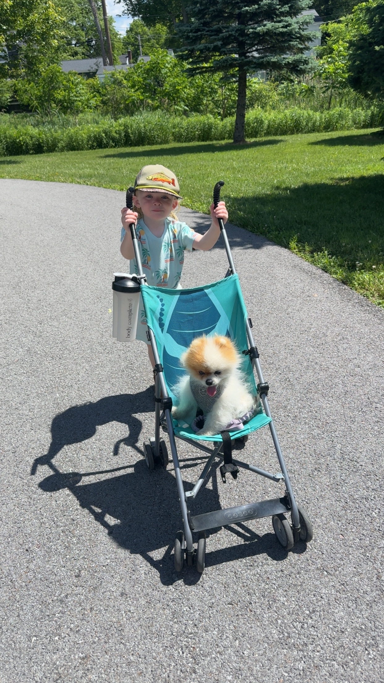 @Fingerlakes Pomeranians