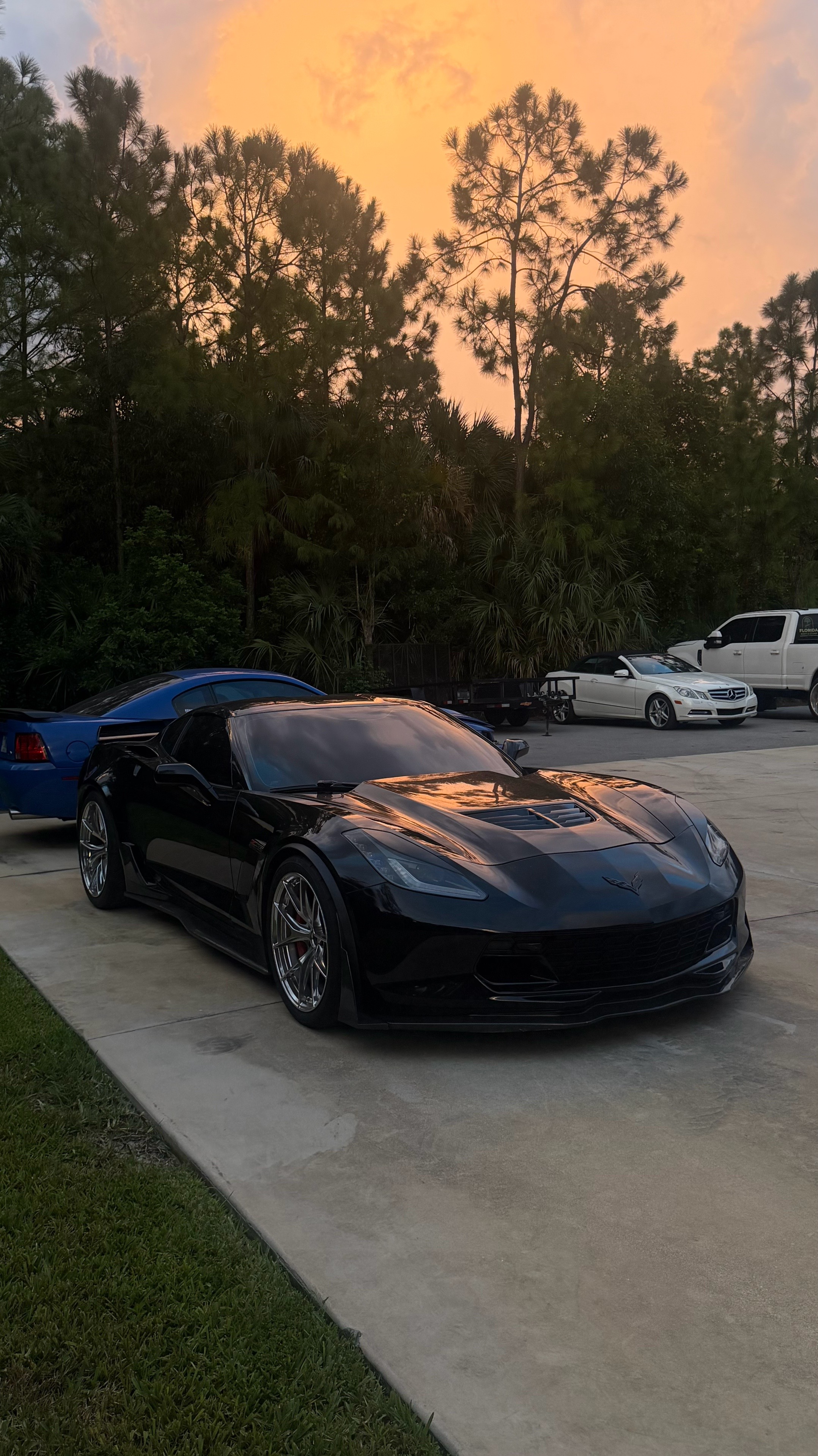 @collier🦇