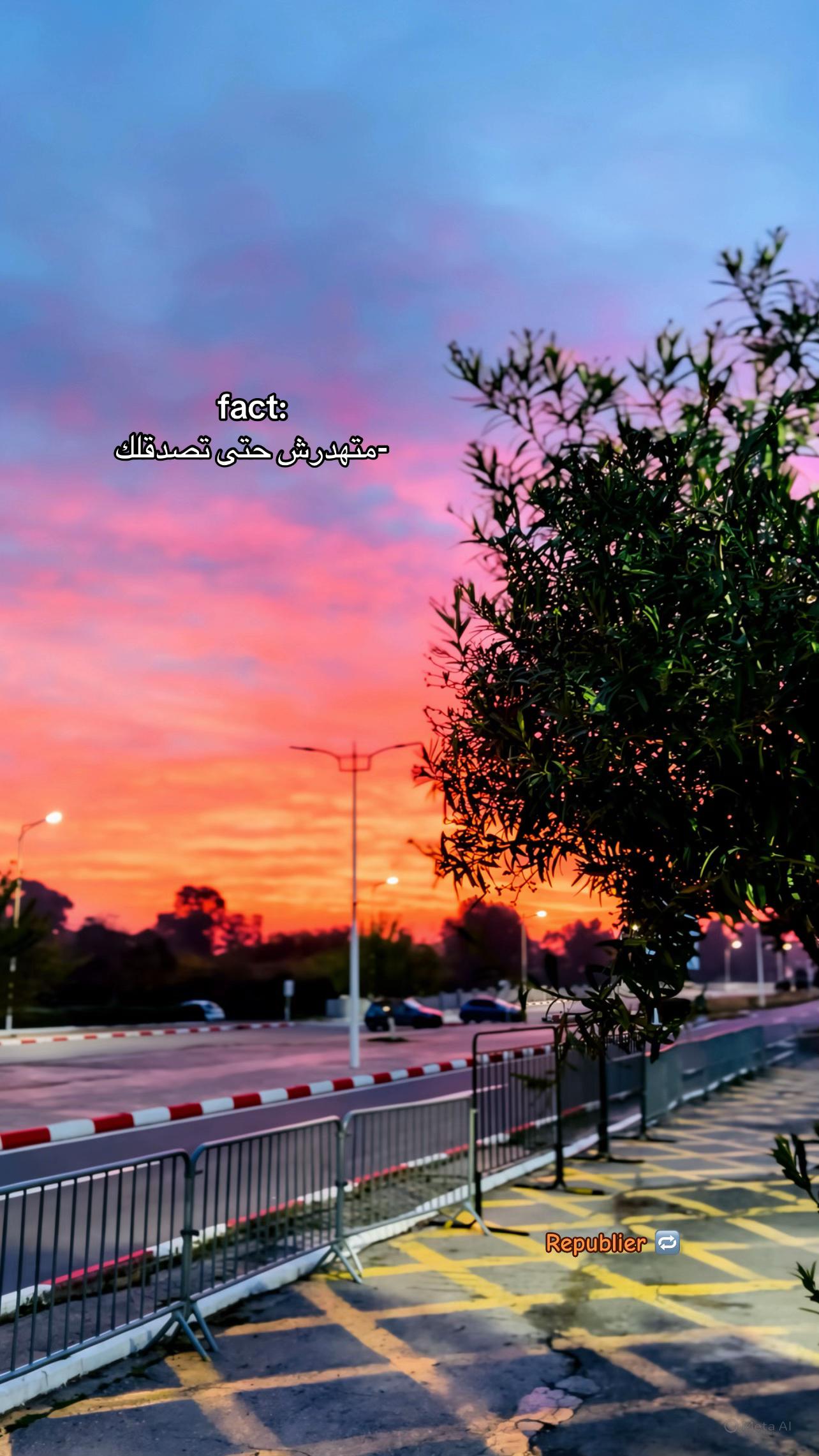 @ʚīɞ +213 ʚīɞ