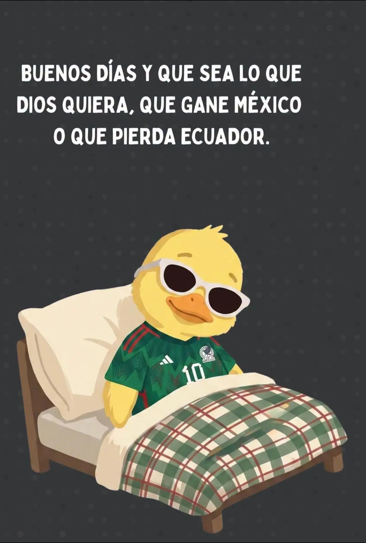 @Chapis