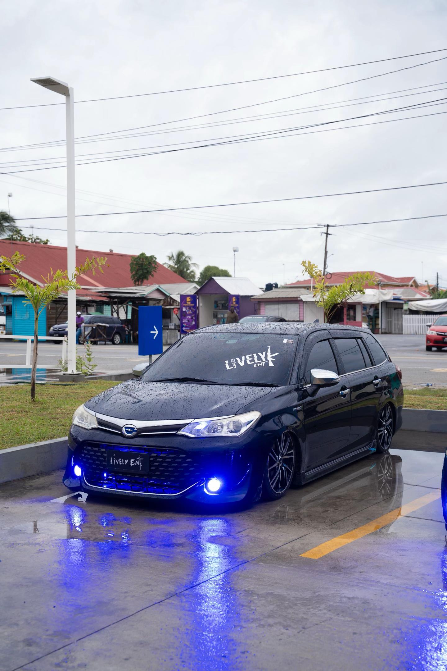 @Lively✓