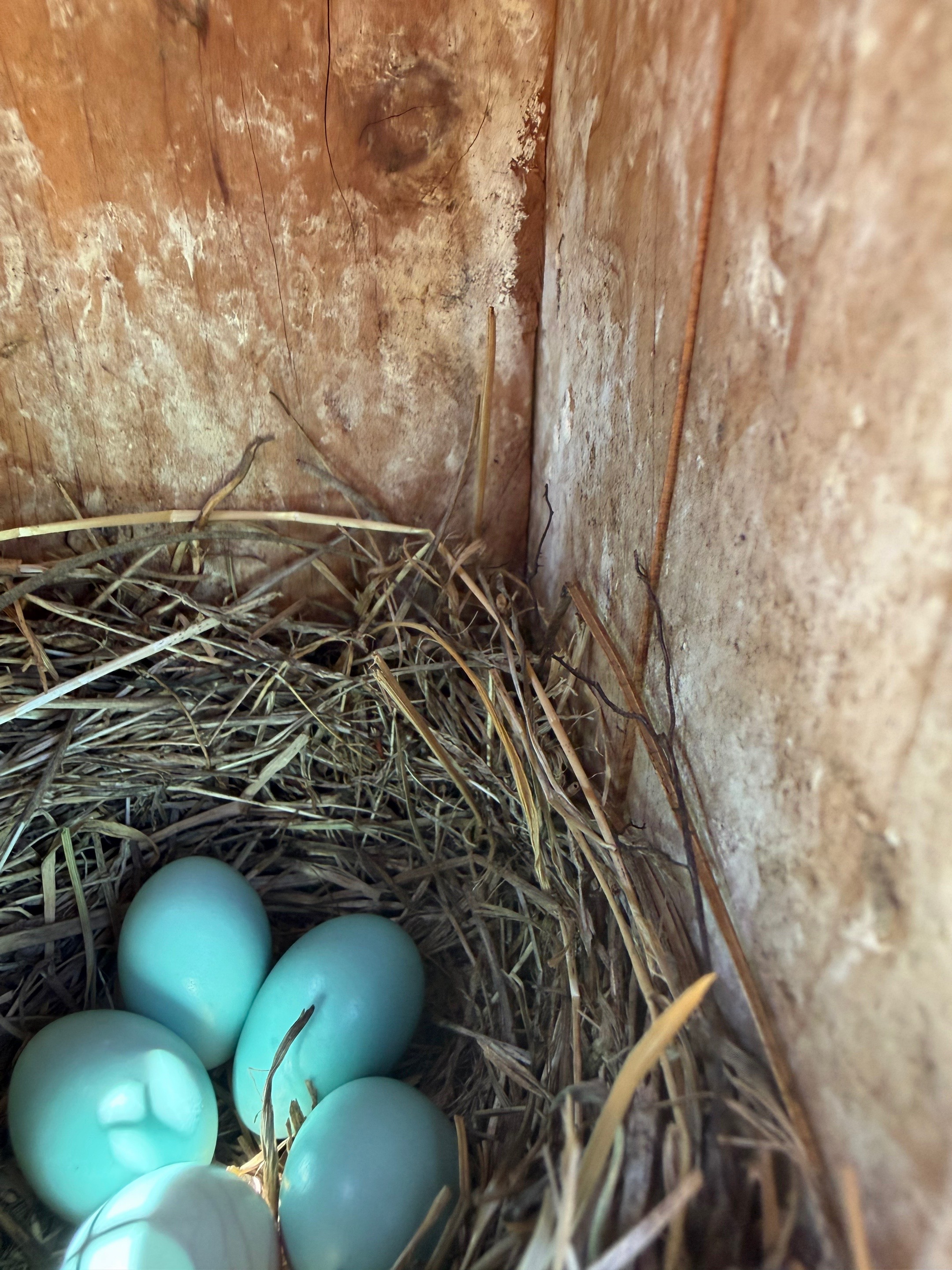 @Chastity1992