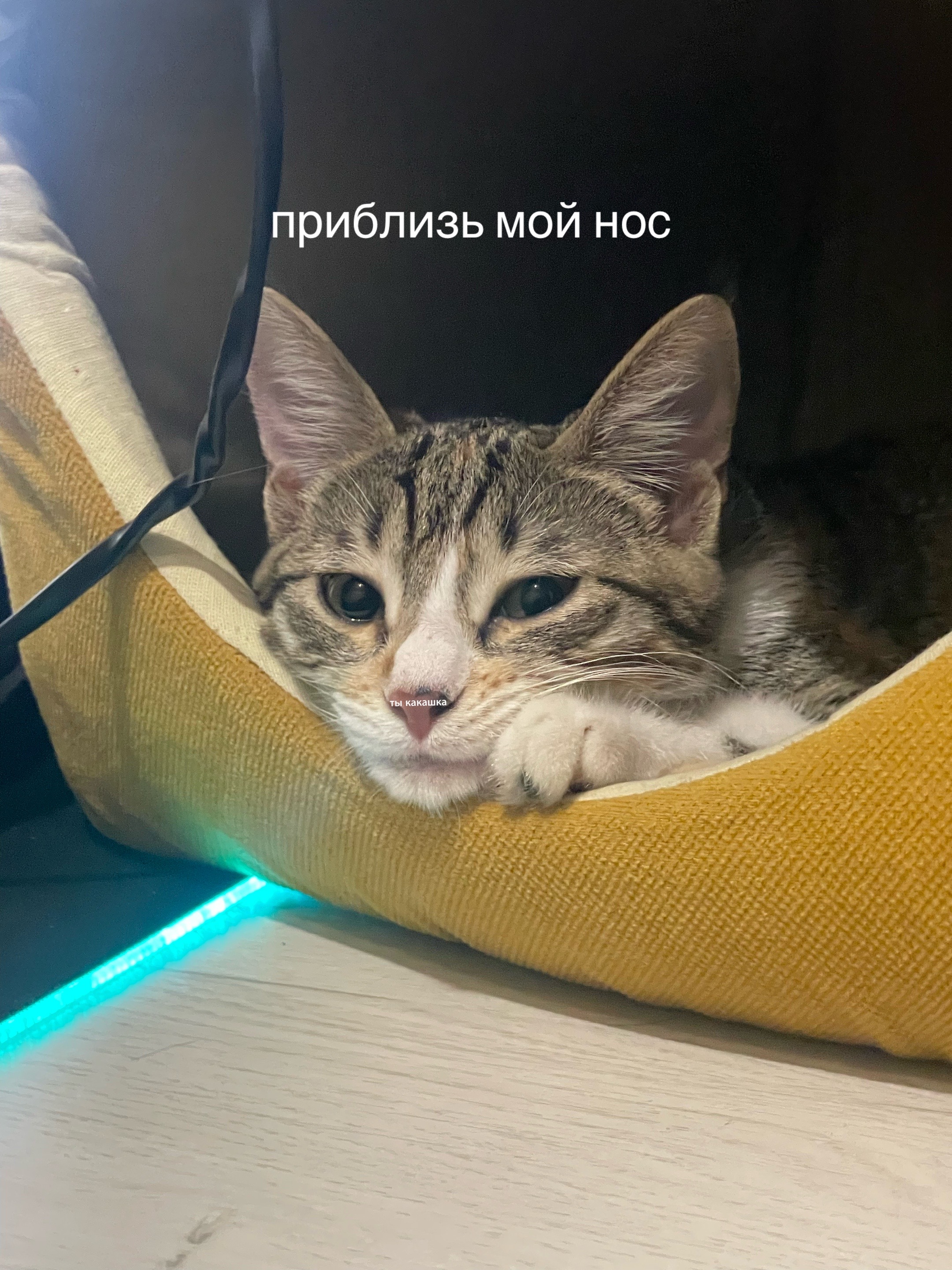 @алиска🚬