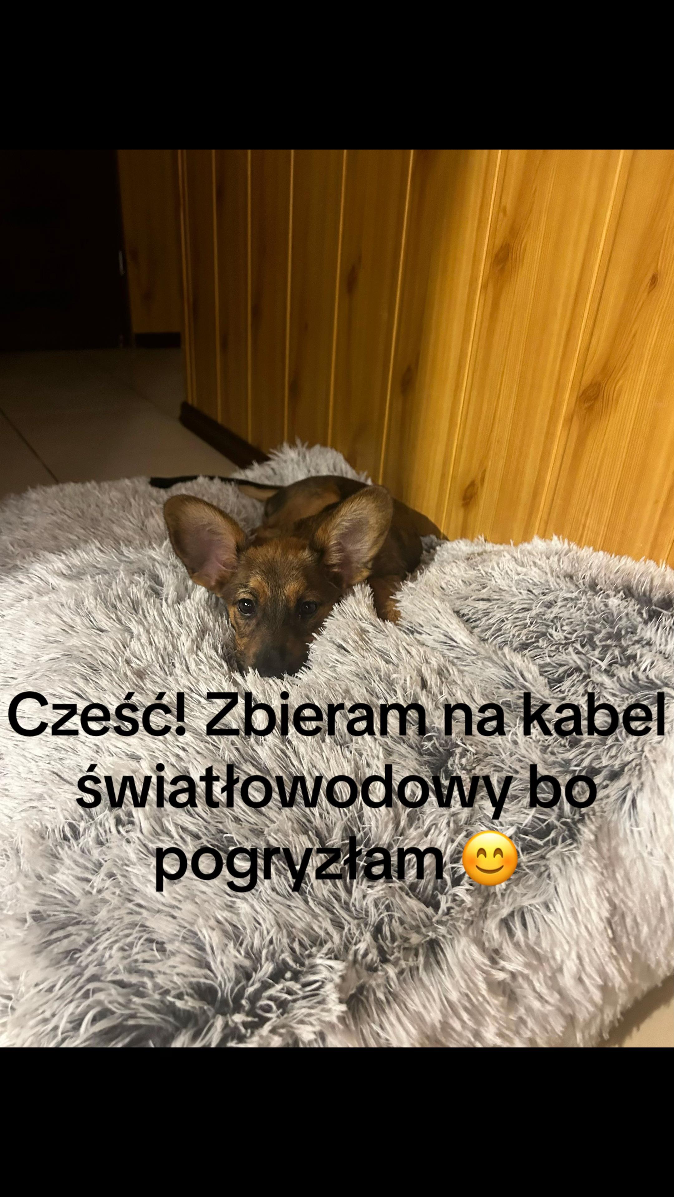 @justyna__zurek__