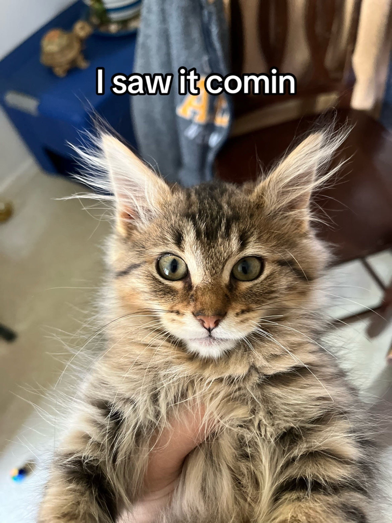 @𝓤𝓻𝓼 𝓣𝓻𝓾𝓵𝔂🌺