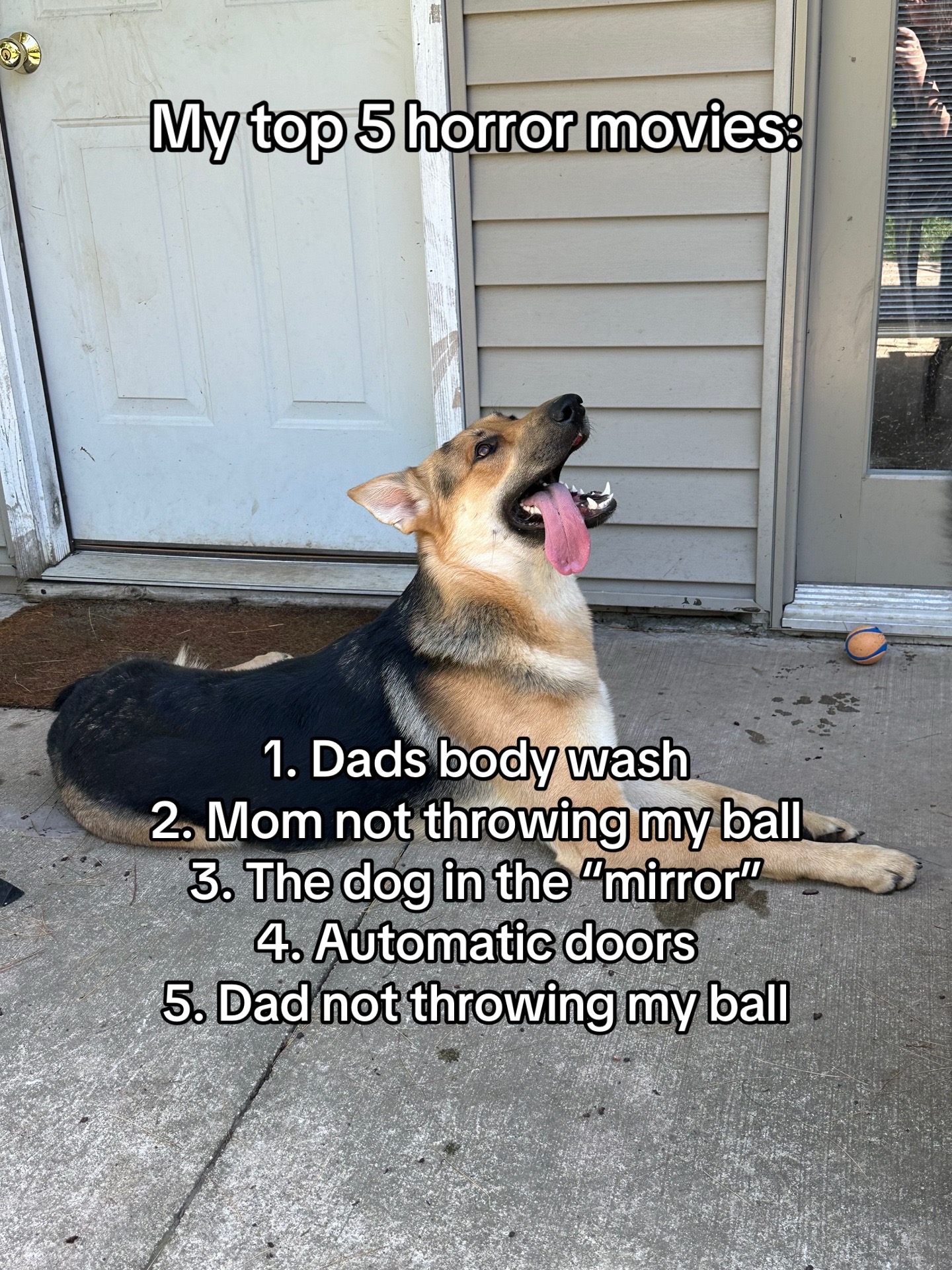 @miloandmoose