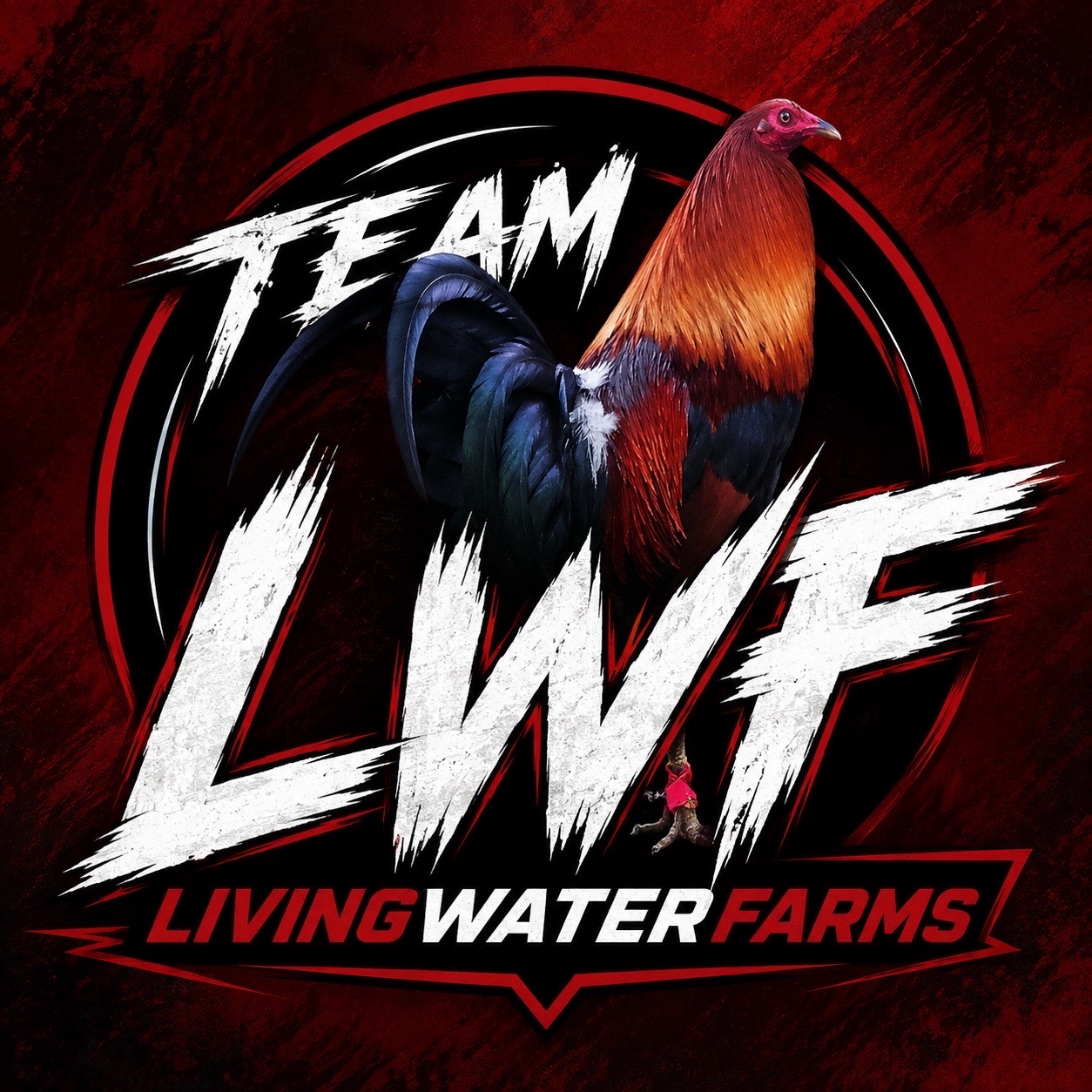 @LWF247