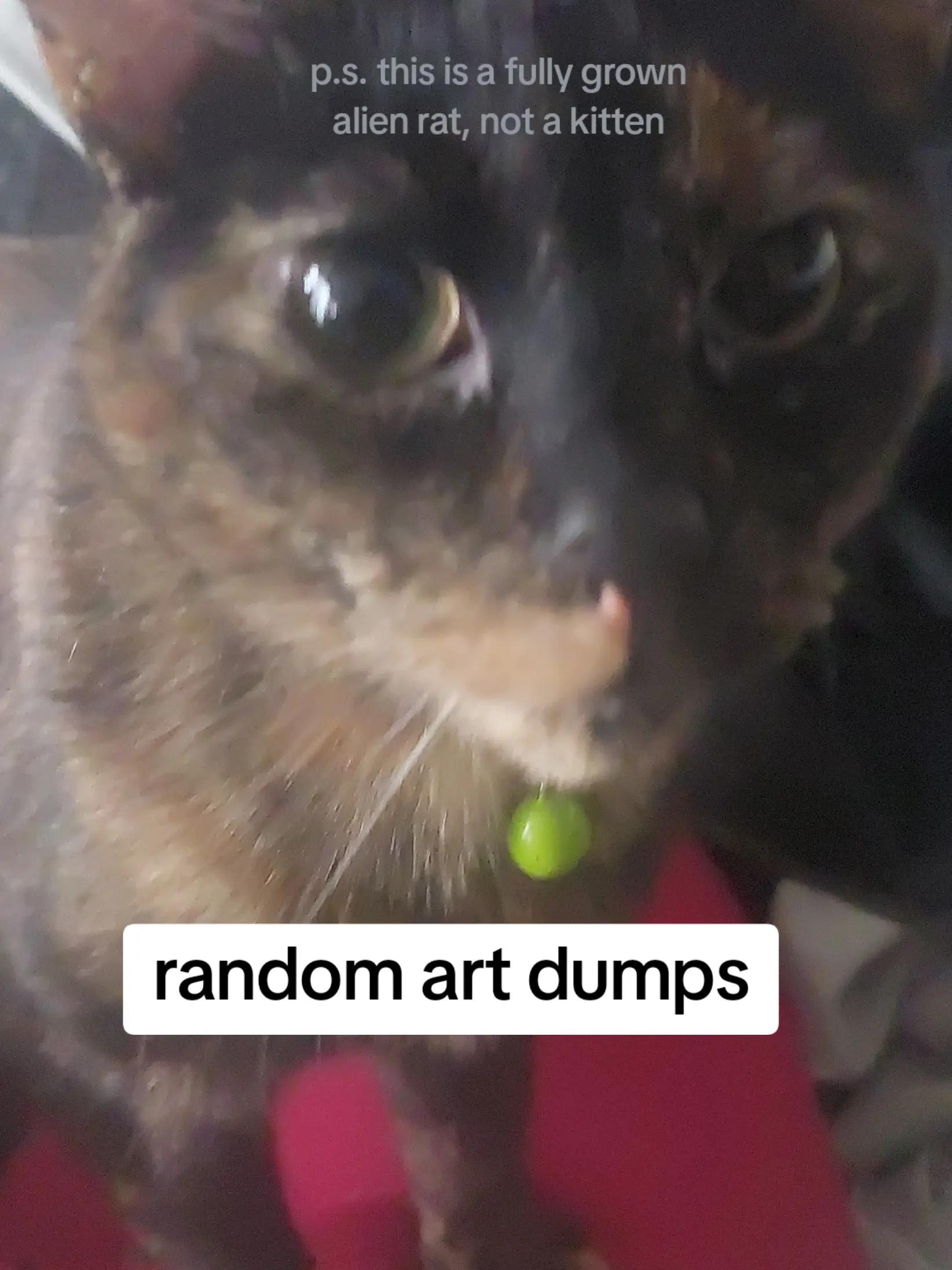@KingVoid